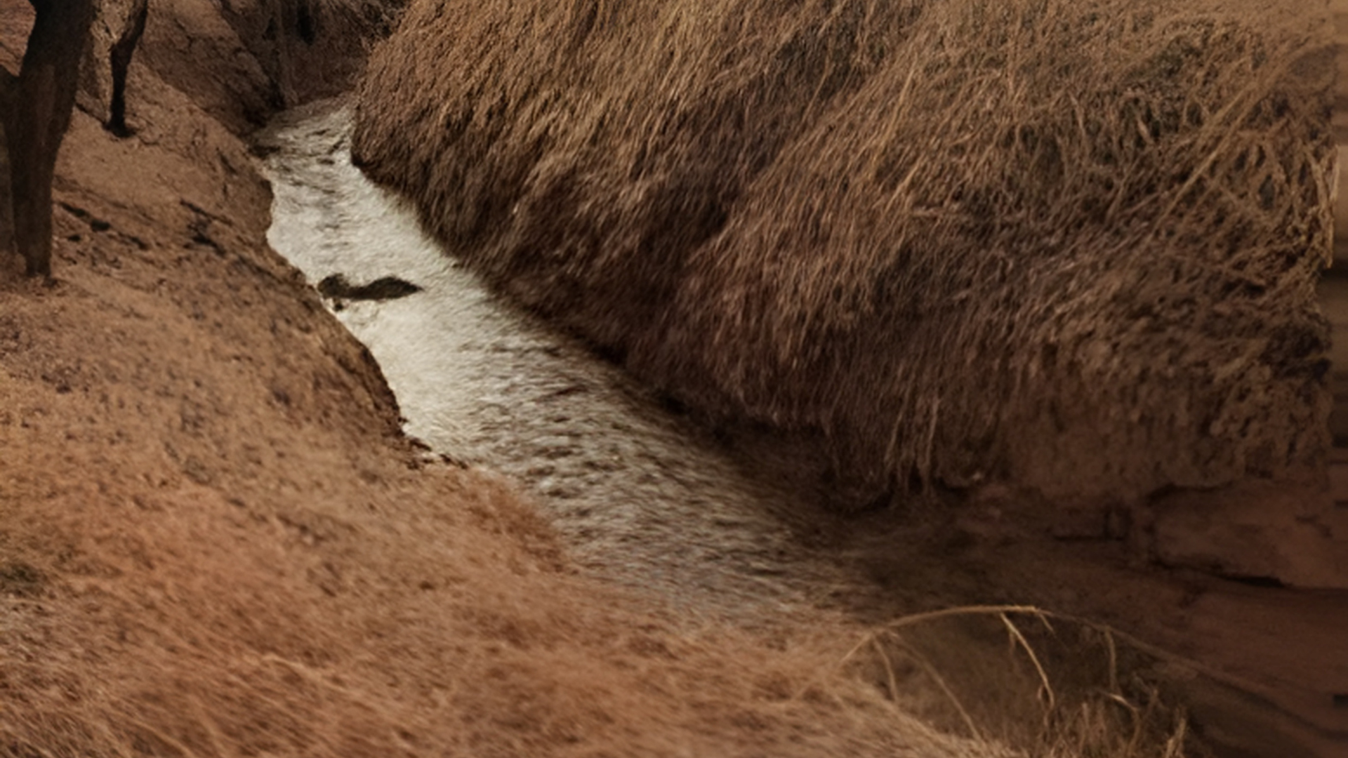 7. Sunflower Trail – Short but Scenic Hidden Gem