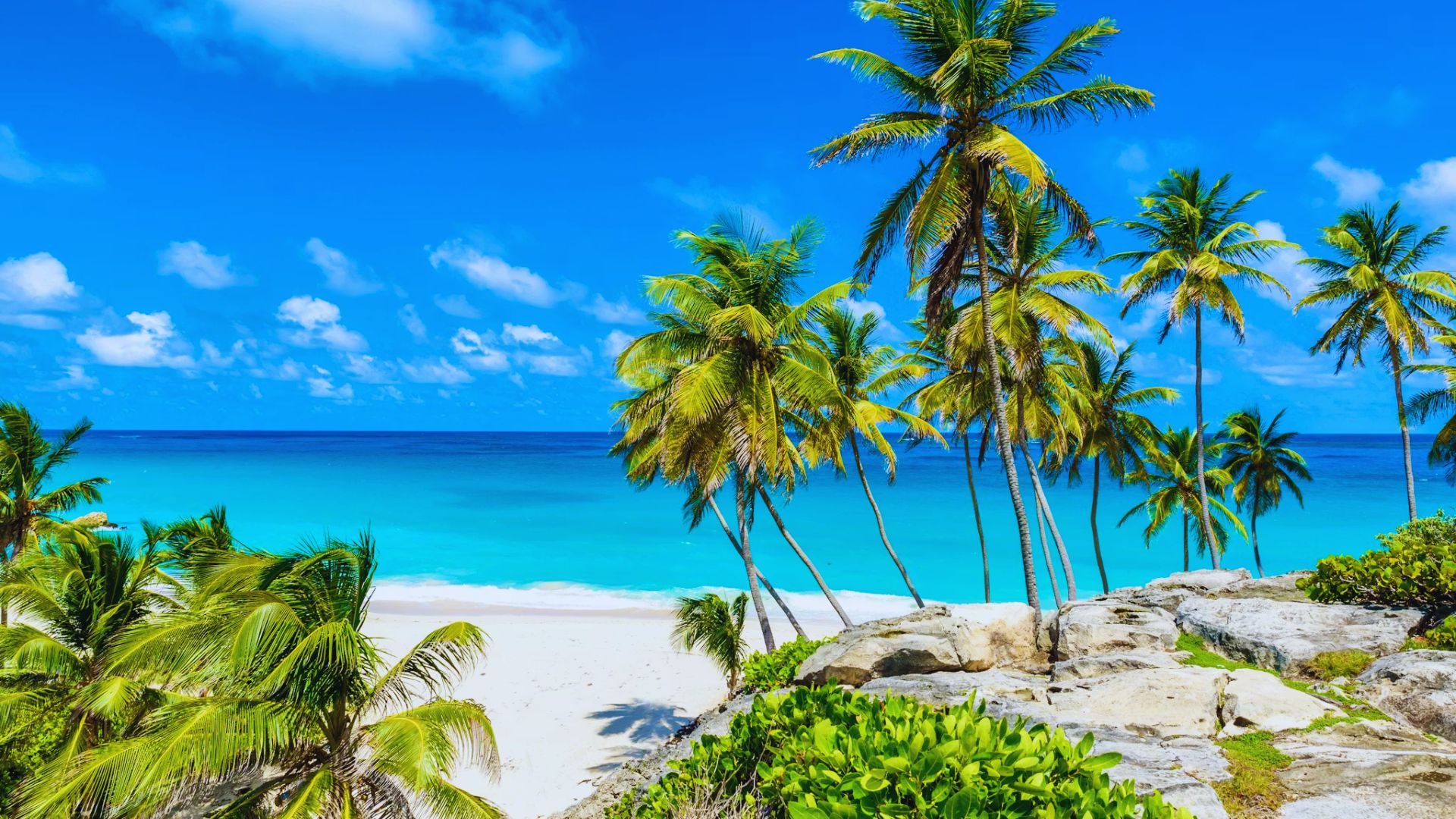What Makes Barbados Beaches