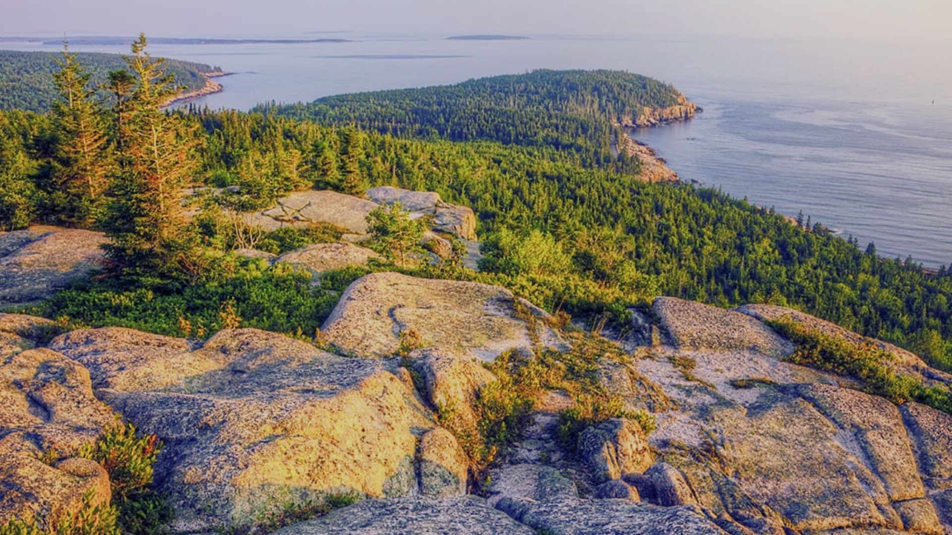 11. Gorham Mountain Trail: Family-Friendly Summit