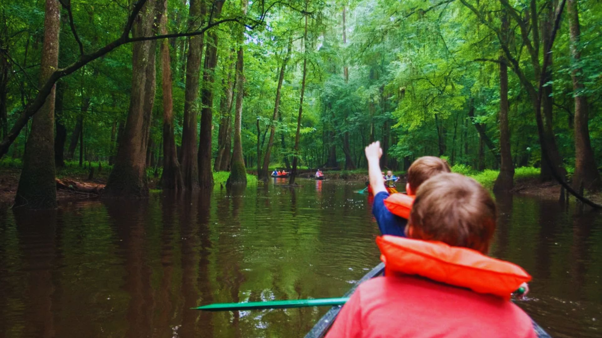Kayak or Canoe Cedar Creek