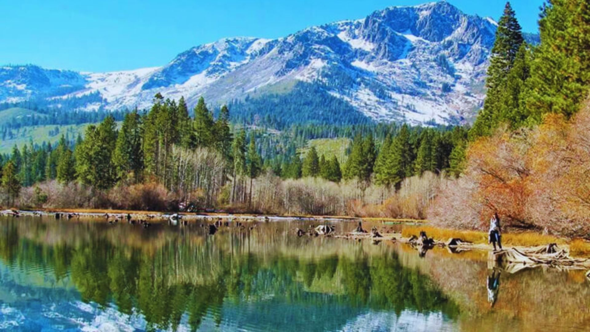 14. Visit Fallen Leaf Lake