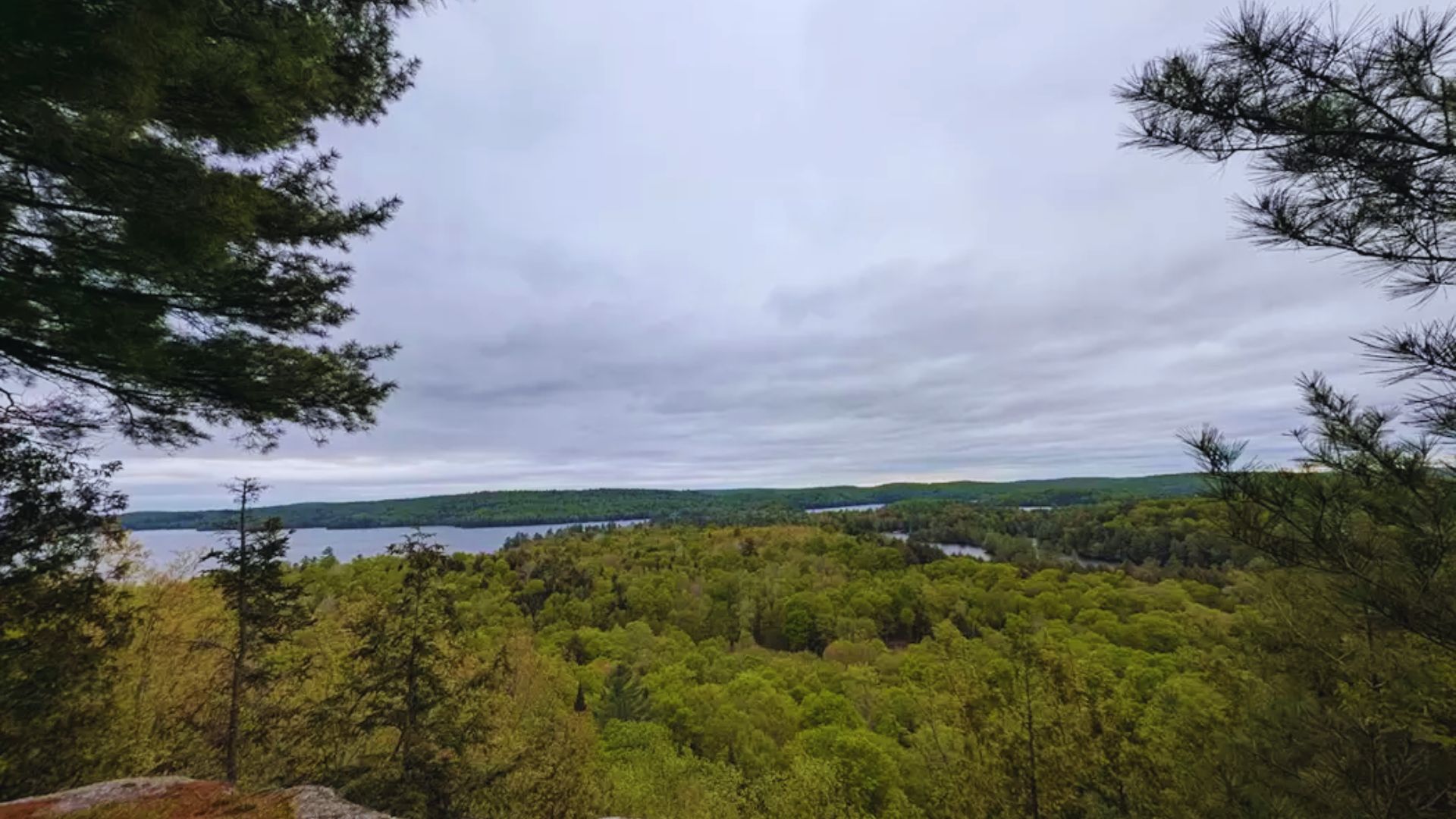 10. Haliburton: Forests, Lookouts & Wildlife