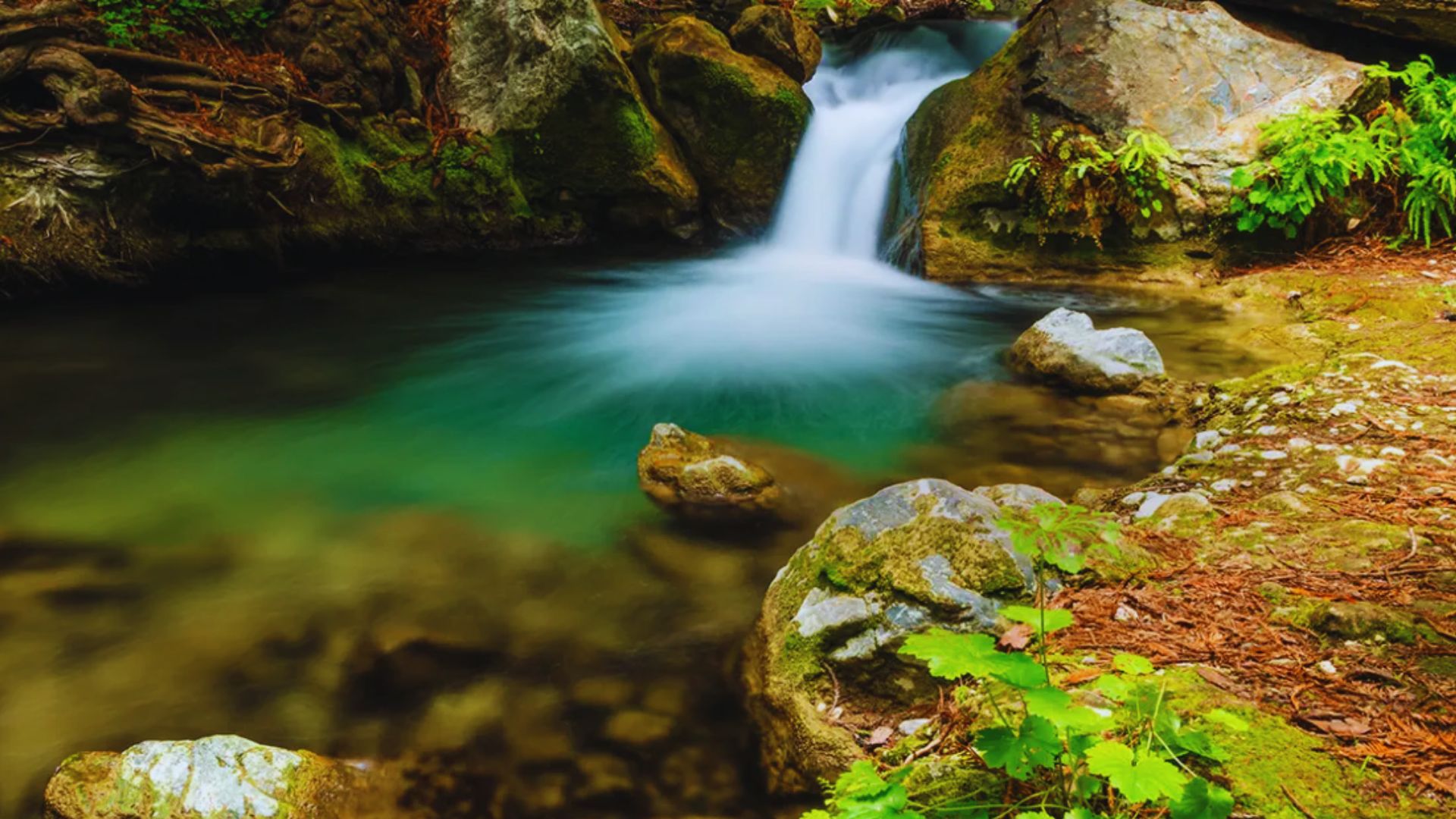 10. Limekiln State Park