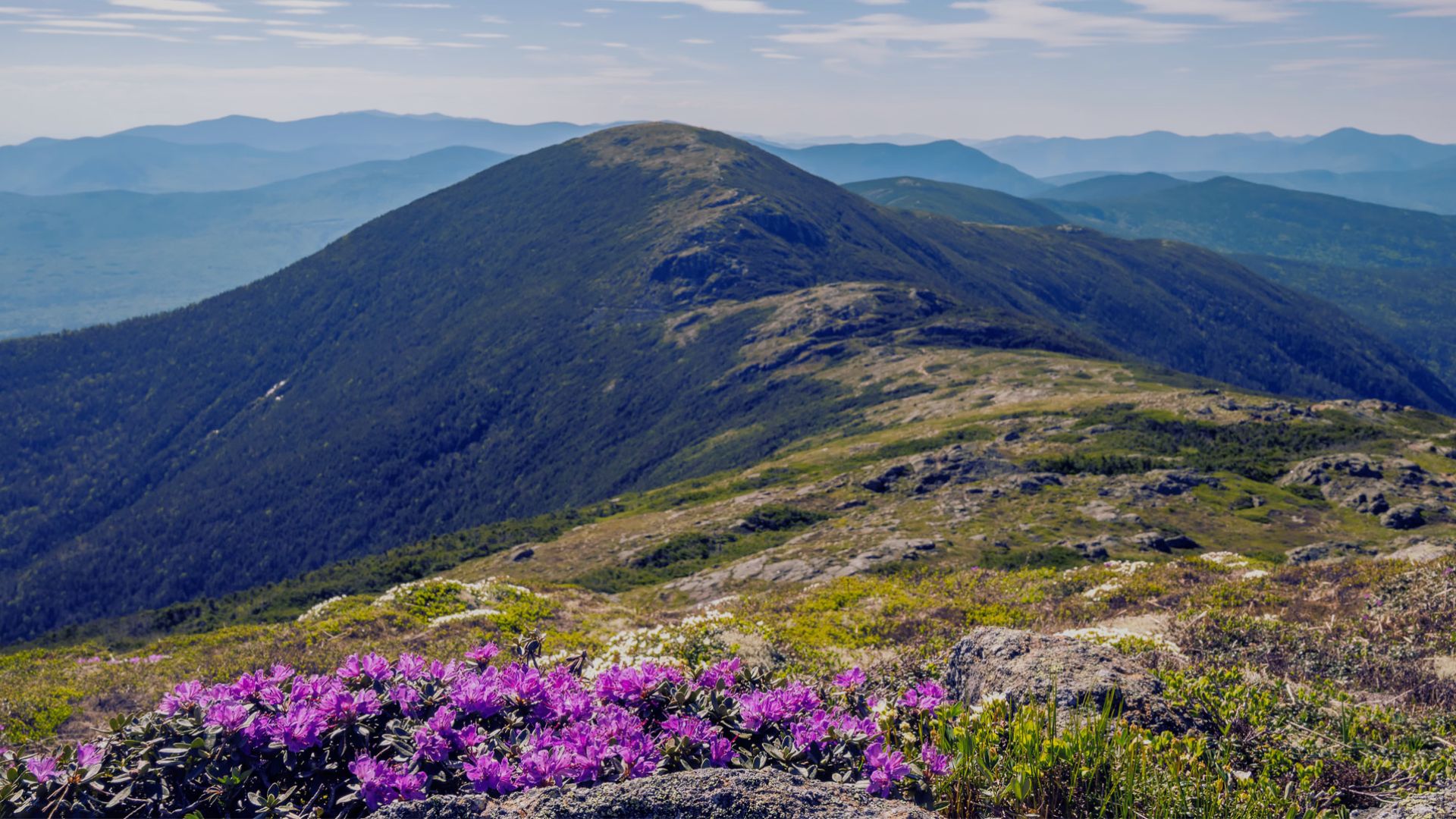 Weather Considerations and Safety