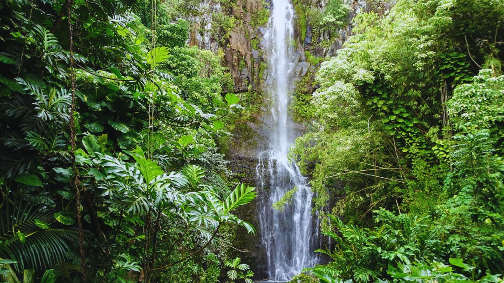 A stunning waterfall cascading down lush green cliffs in Kauai, surrounded by tropical vegetation and misty air.