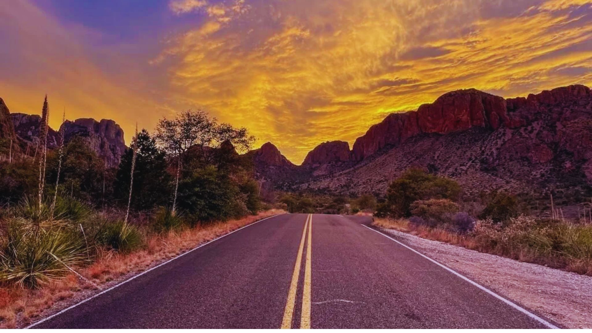 Visit Chisos Basin