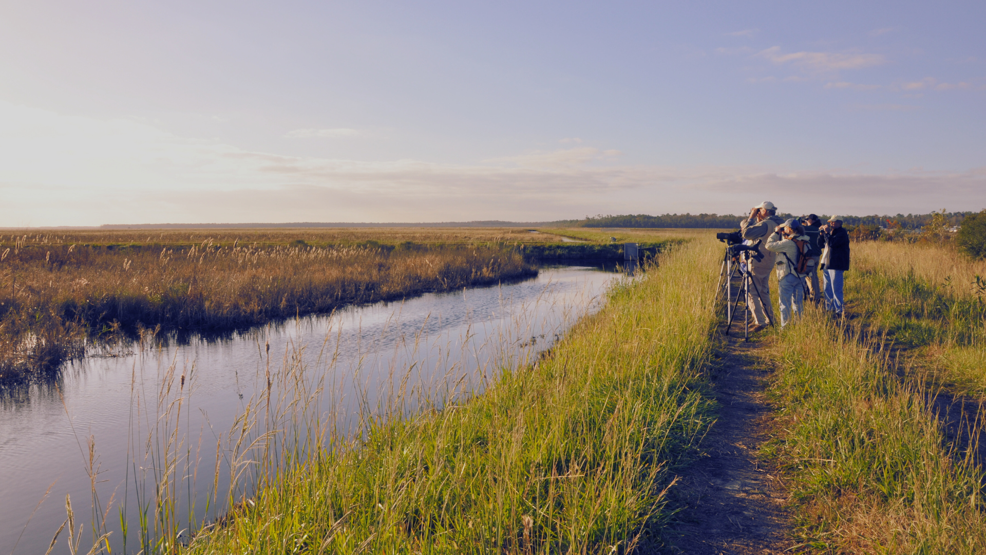 17. Go on a Family Nature Walk or Wildlife Tour