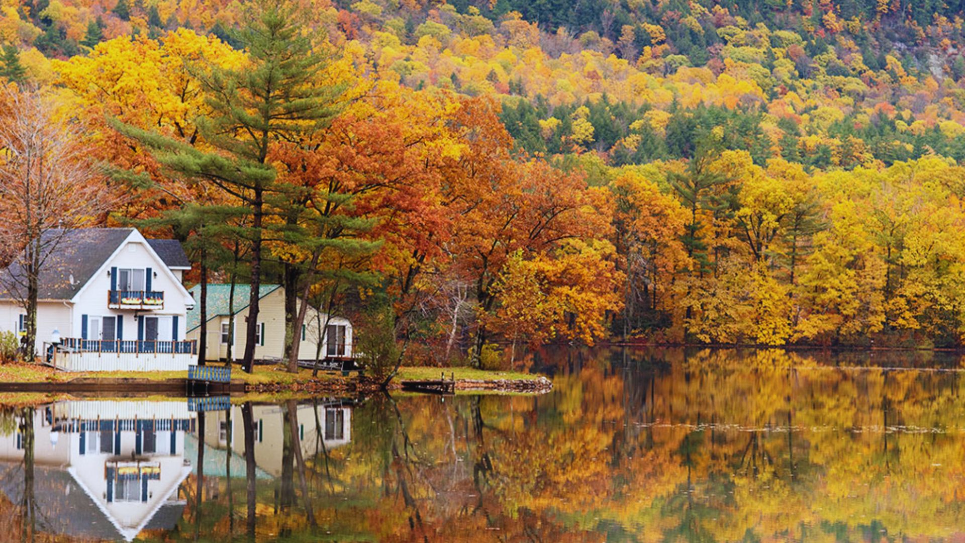 Enjoy a Scenic Rest Stop View
