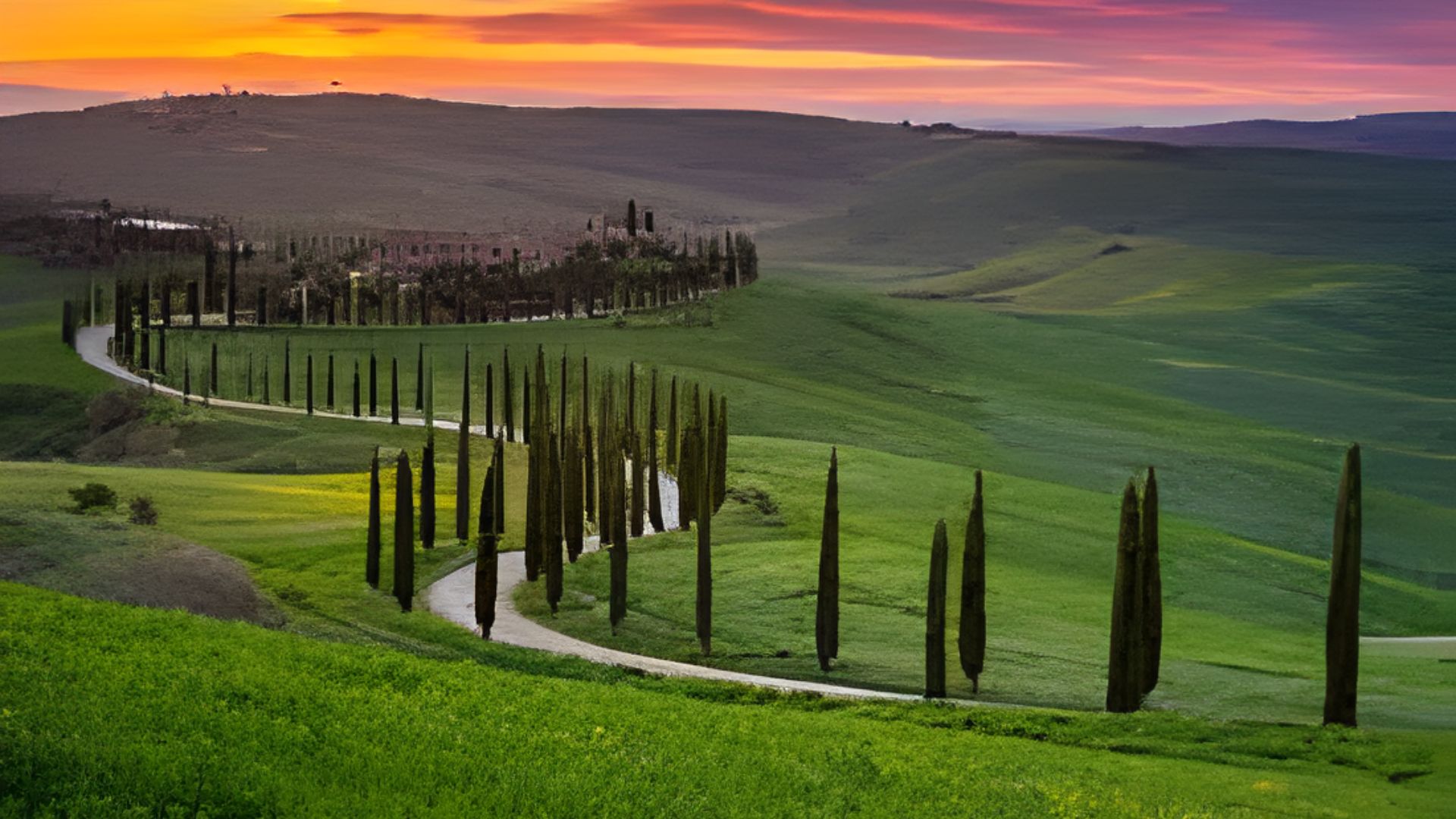 Scenic Drive Through Chianti Vineyards