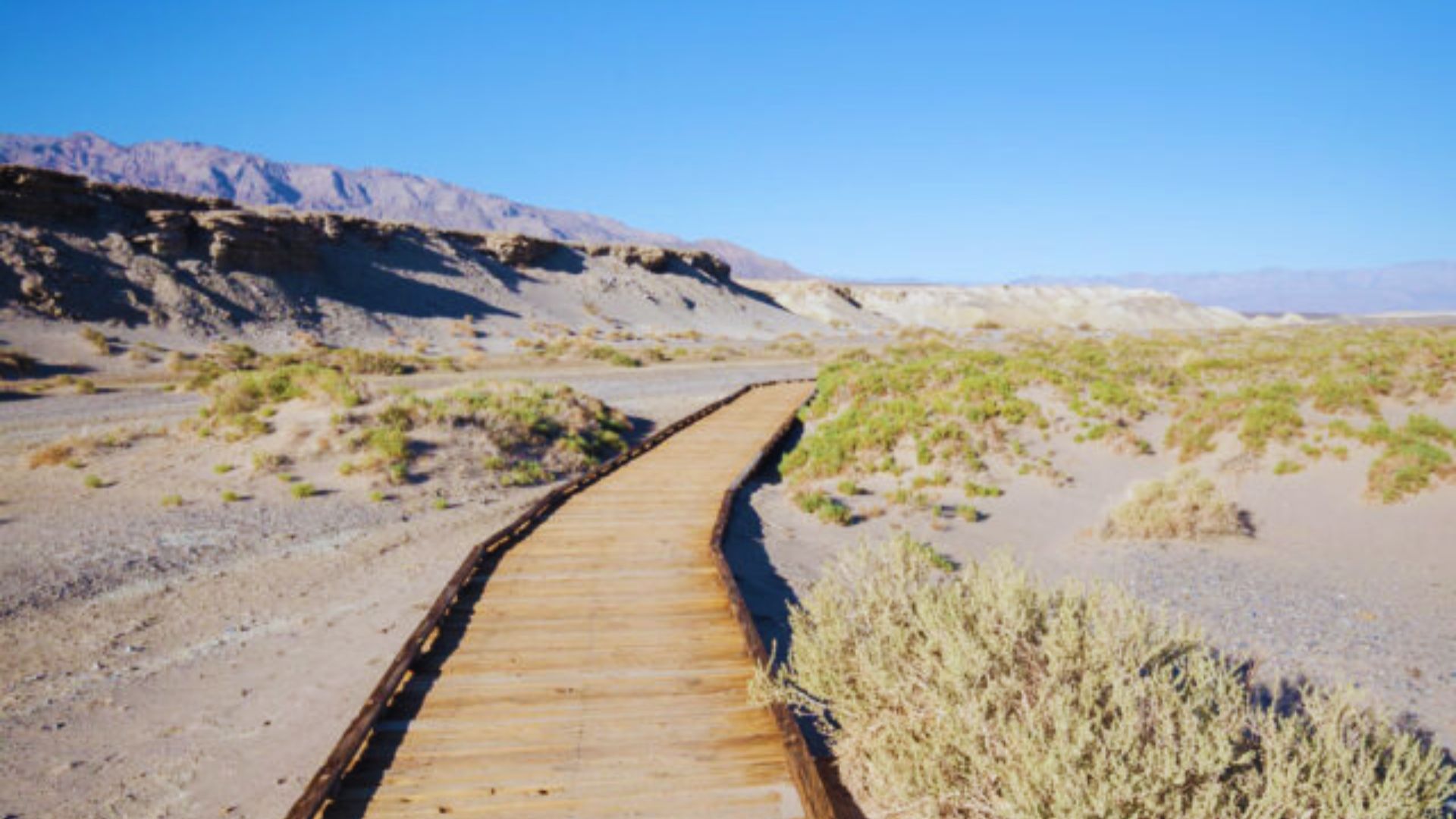 13. Walk the Salt Creek Boardwalk