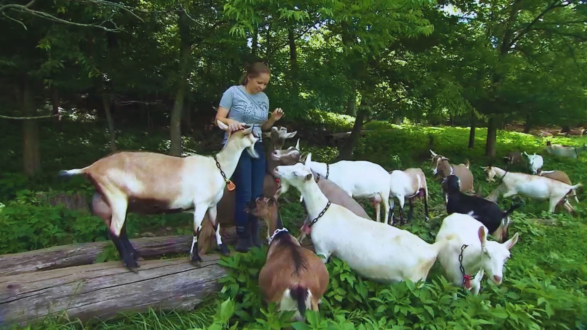See Noble Springs Dairy Farm