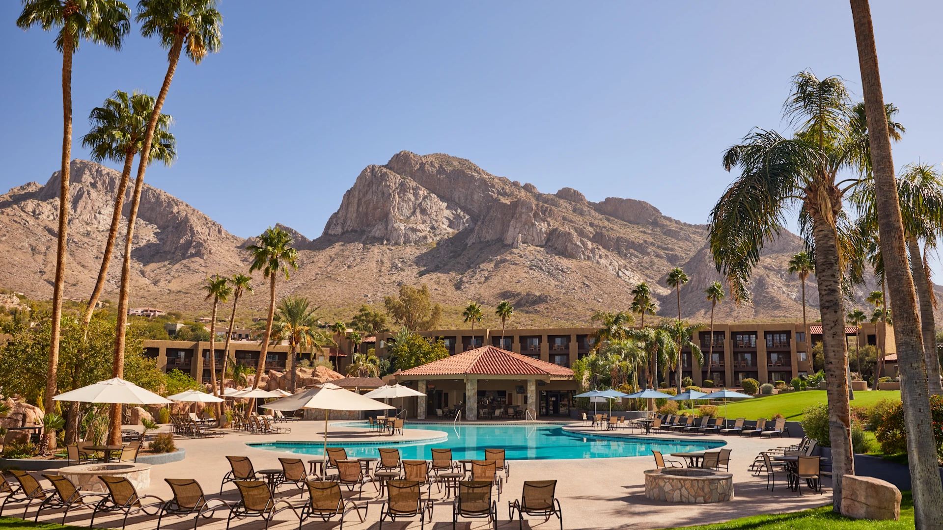 A scenic view of the Palm Springs resort, showcasing palm trees, a pool, and modern architecture under a clear blue sky.