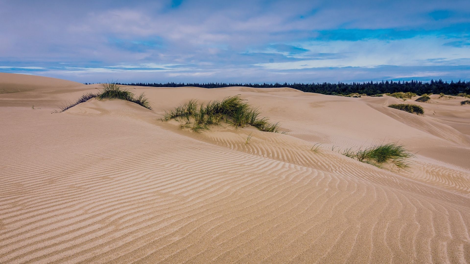 John Dellenback Dunes Trail