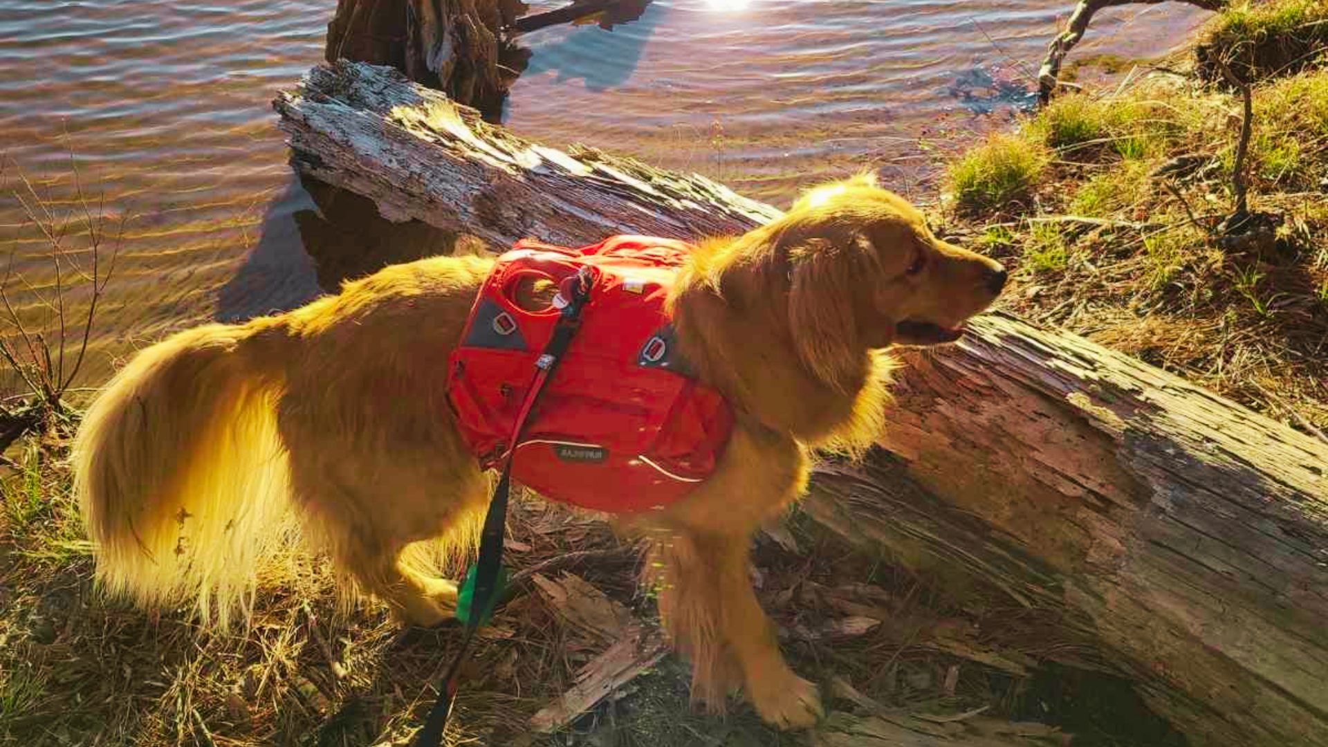 Is Glacier National Park Worth