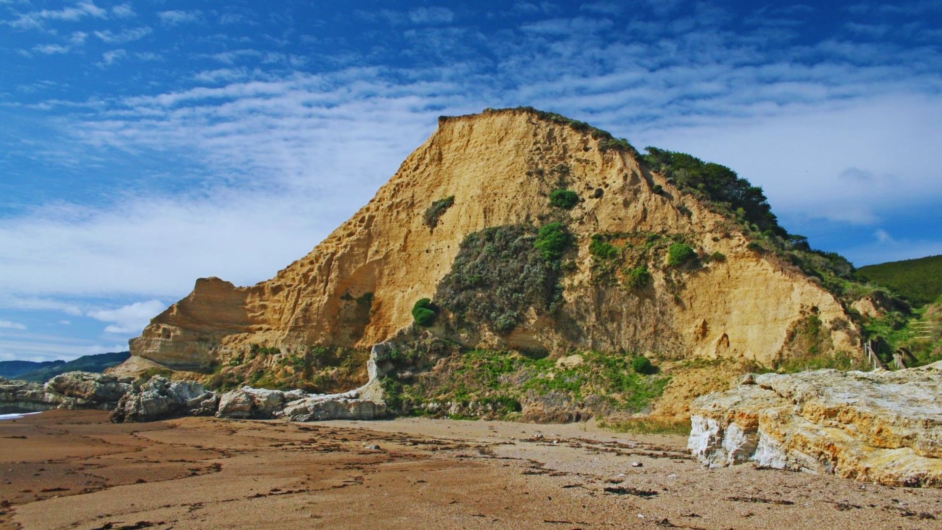 Scenic view of Cape Jervis beach in New Zealand, featuring golden sand and gentle waves under a clear blue sky.