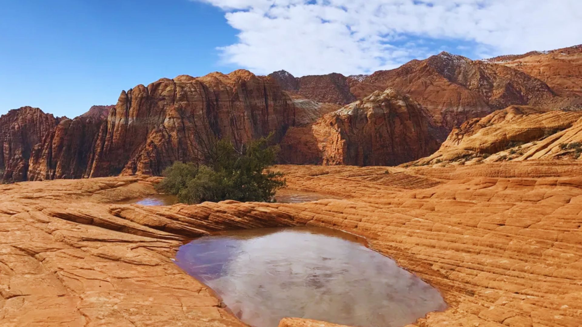 A small pool of water surrounded by dry desert sand, reflecting the clear blue sky above.