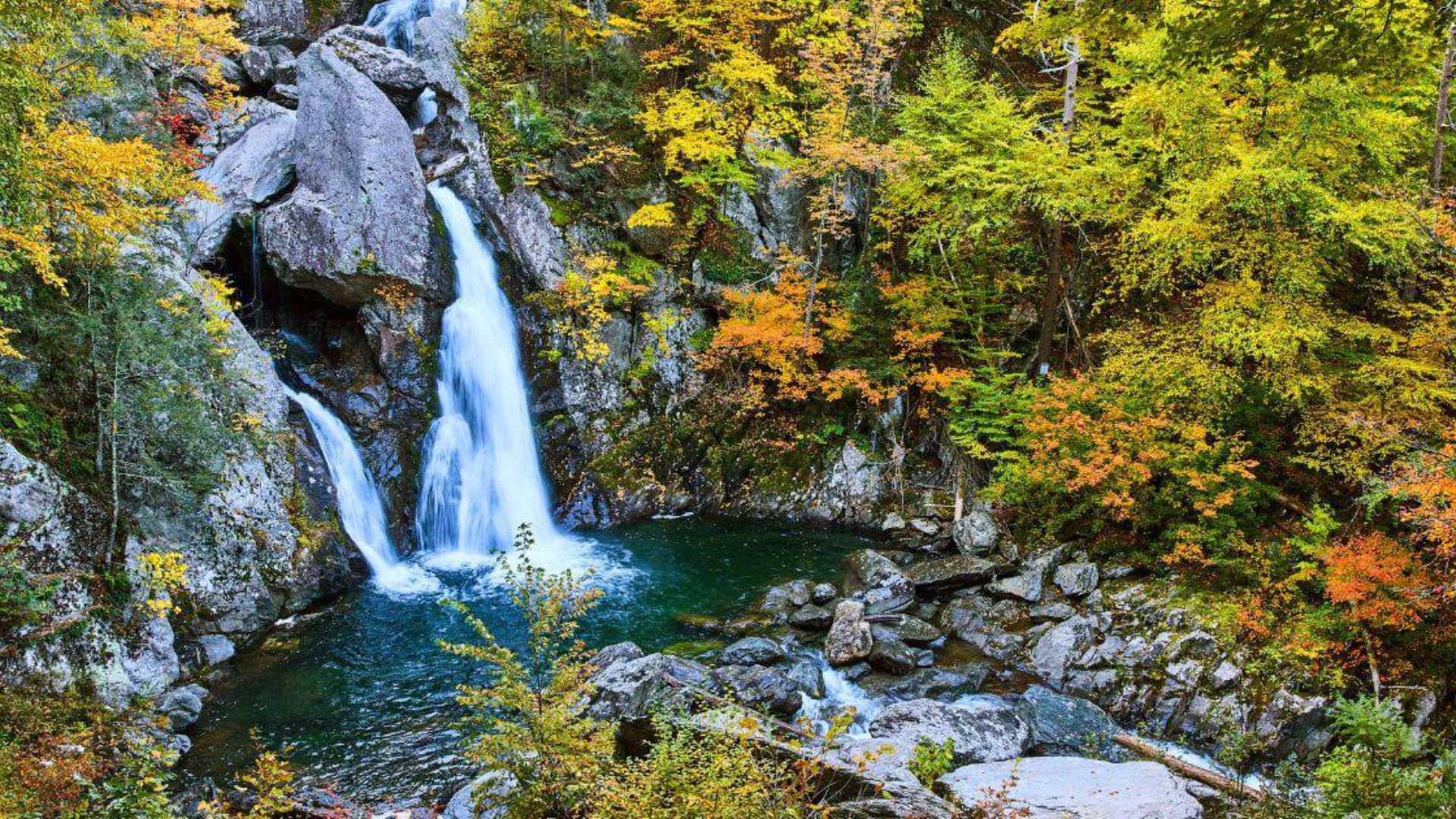 A serene waterfall cascades through vibrant fall foliage and lush green trees, creating a picturesque natural scene.