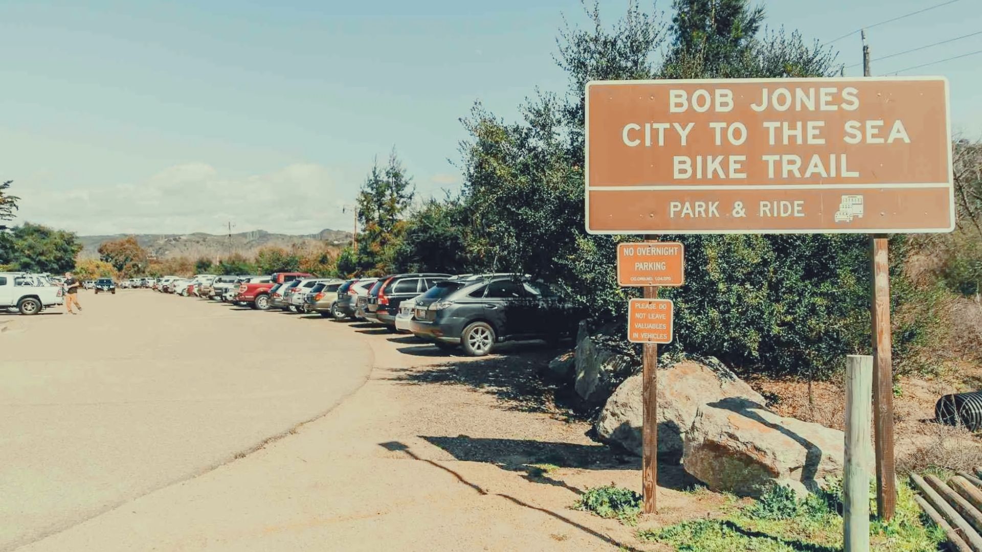 Check Out the Bob Jones