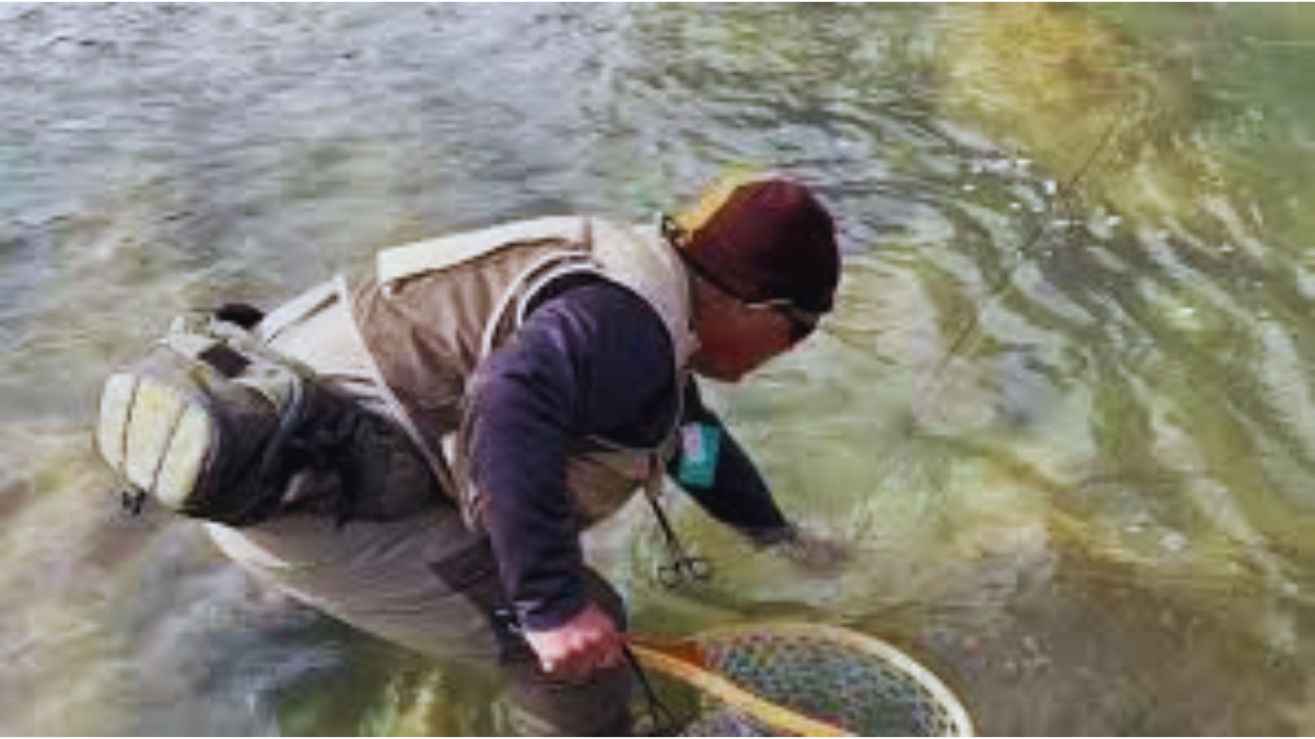 Try Fly Fishing on the Guadalupe