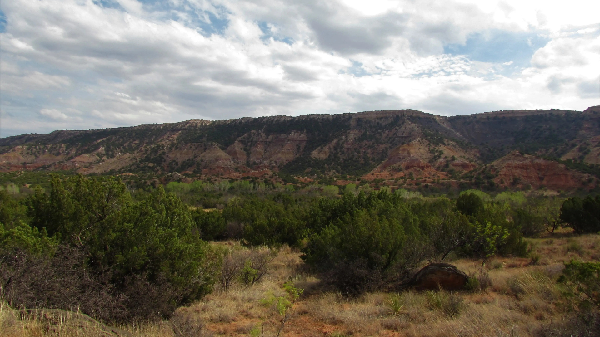 10. Mesquite Trail – Shaded & Beginner-Friendly