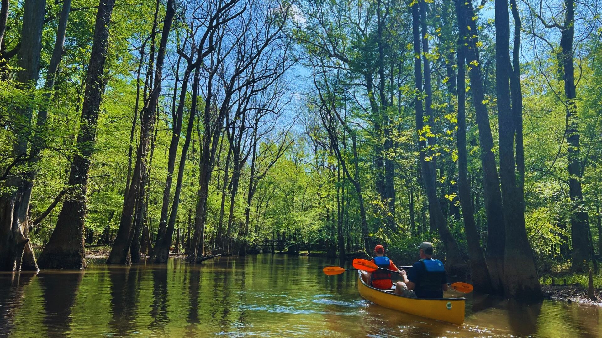 12. Congaree National Park