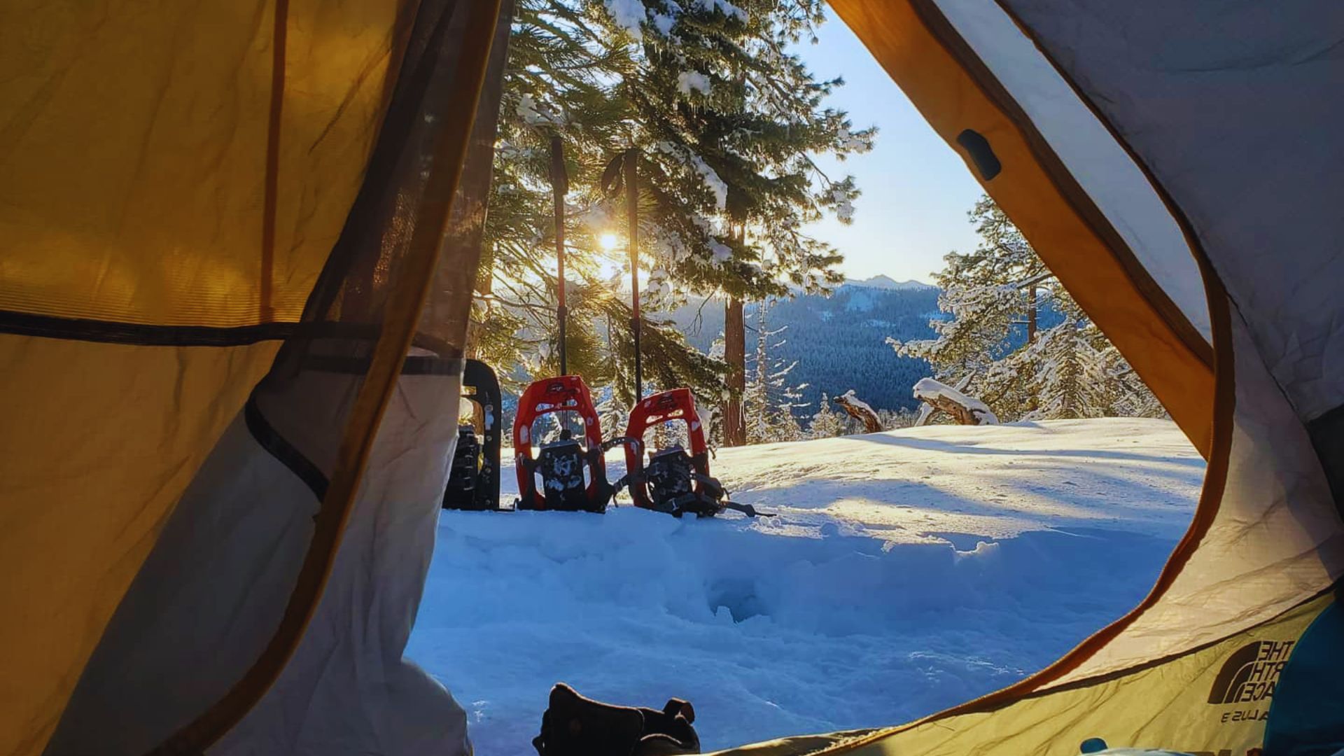 Dewey Point Yosemite Camping and Backpacking