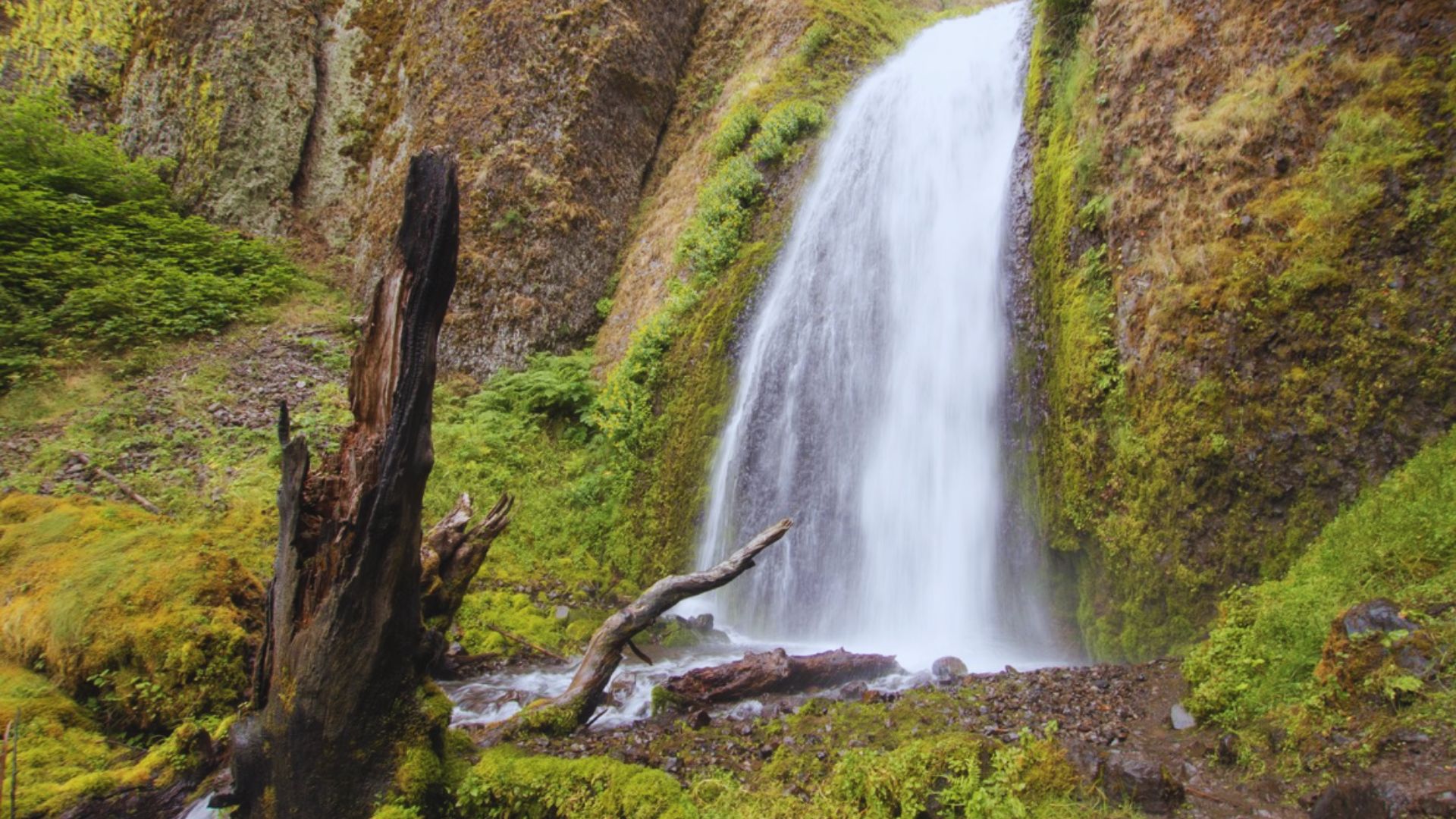 4. Wahkeena Falls