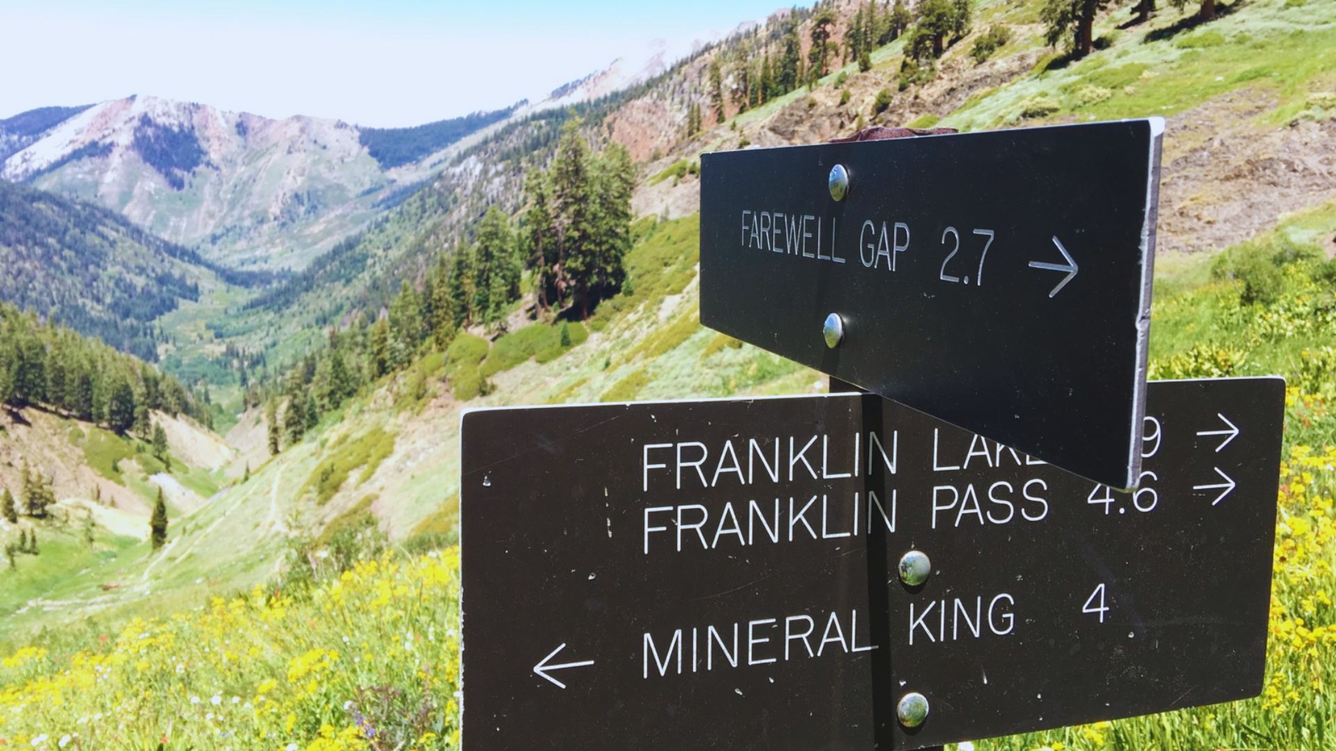 Day 5: Mineral King or California Parks Loop