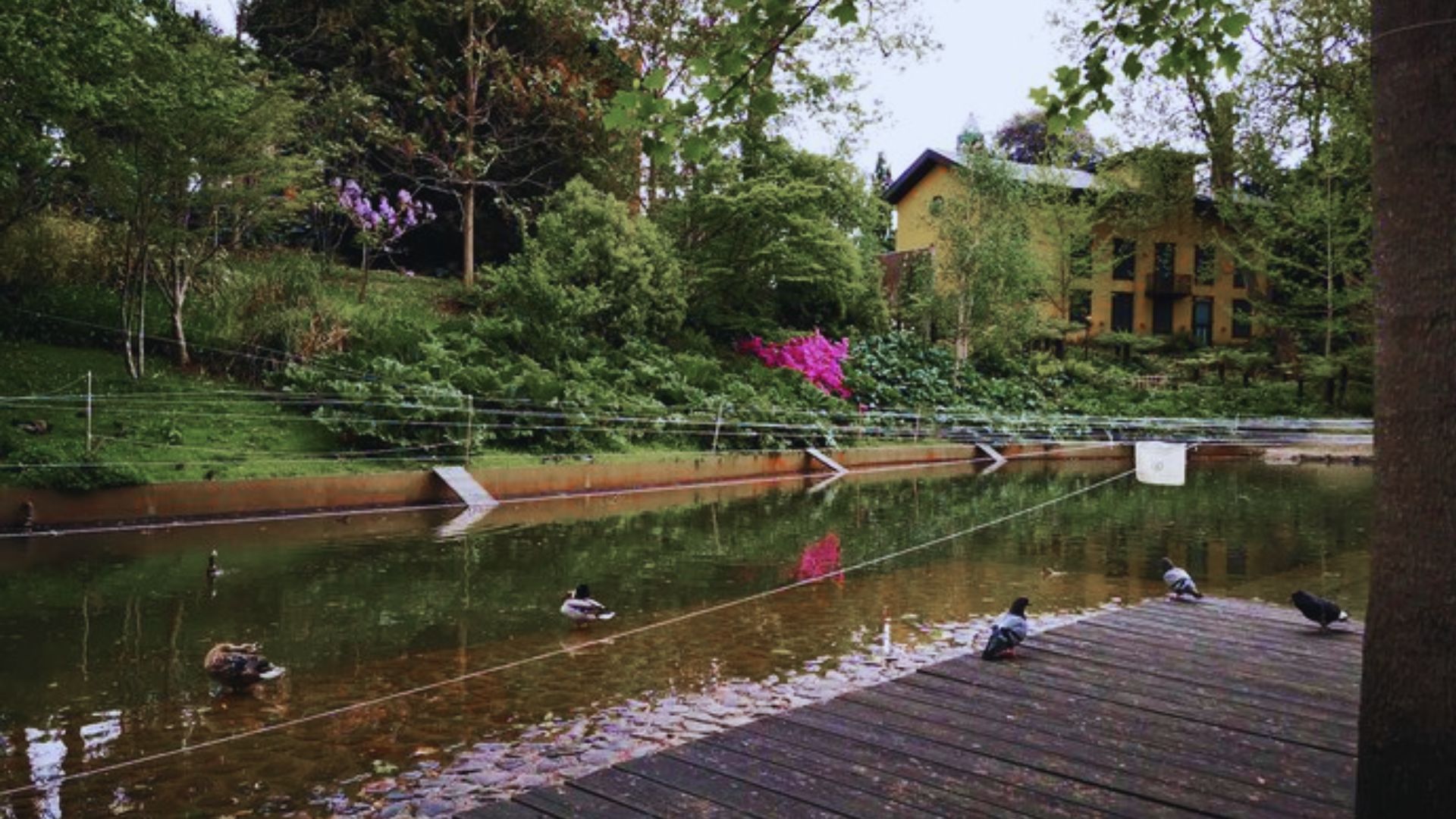 Picnic and Relax at Cristina Enea Park