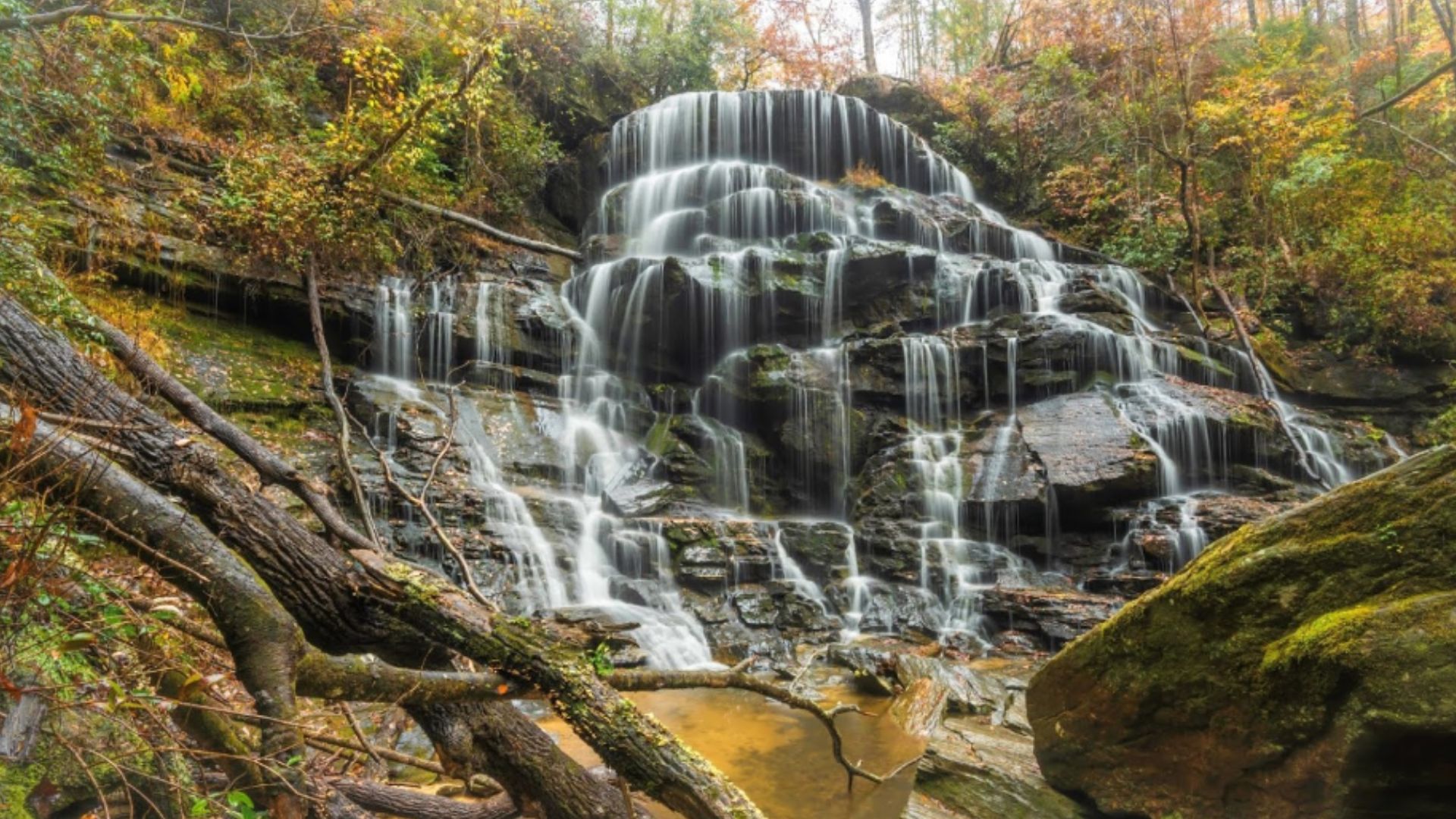The Main Attraction: Yellow Branch Falls