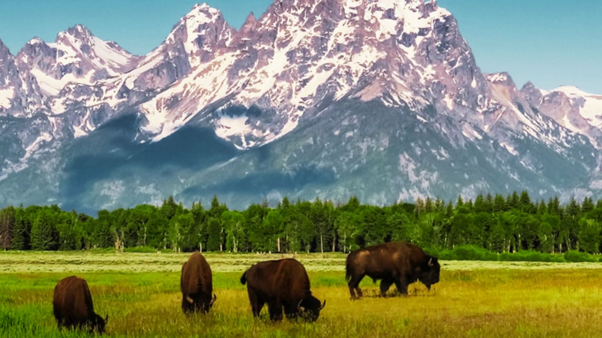 Grand Teton Scenic Loop