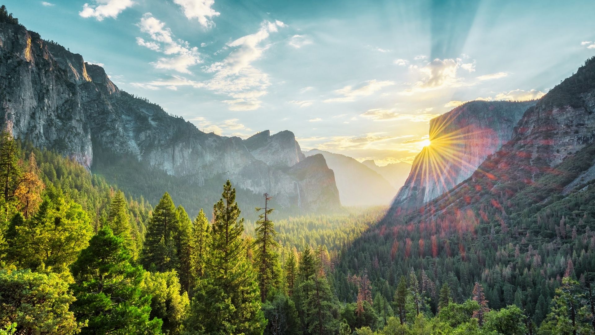 Yosemite National Park