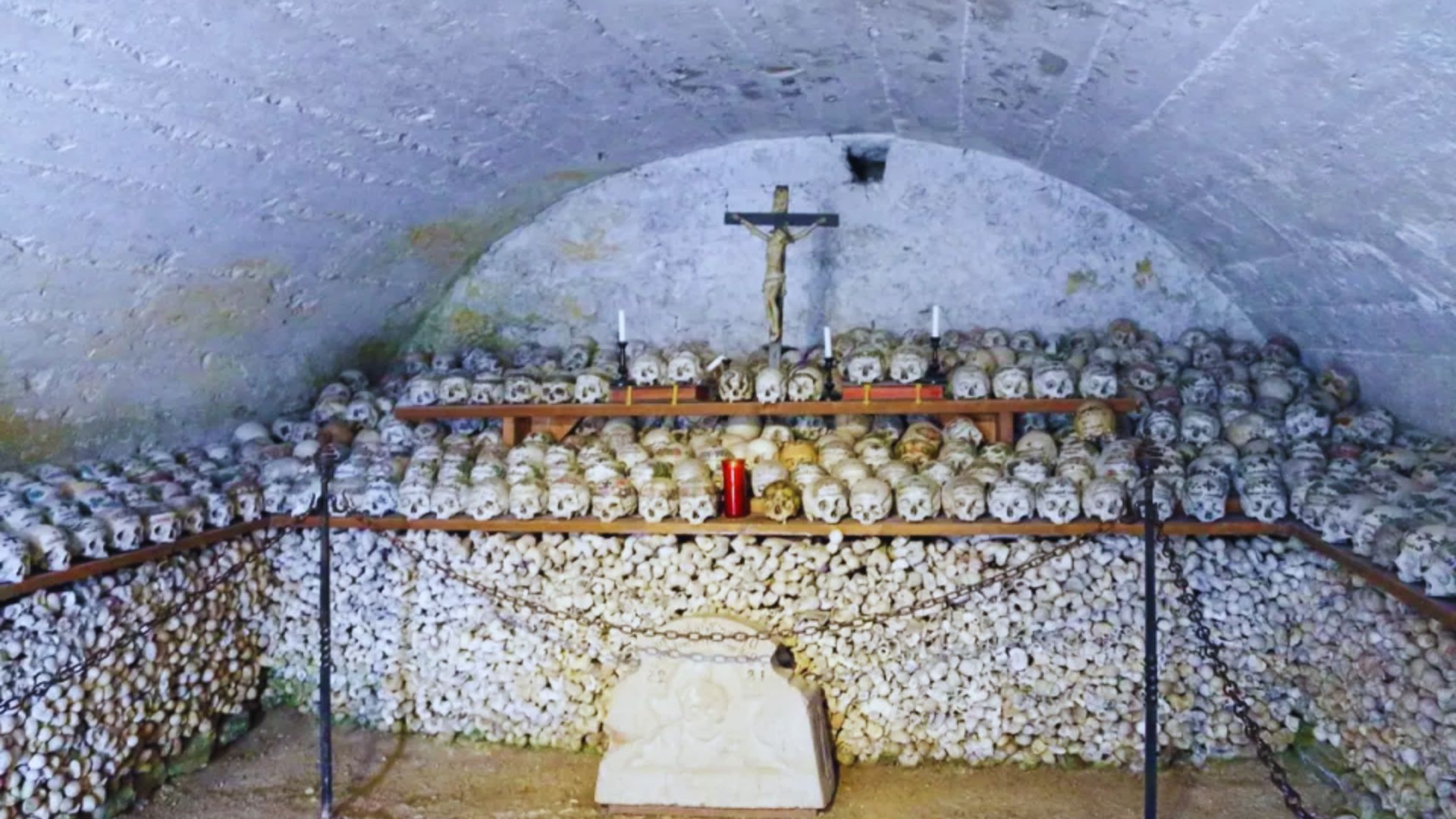 A room filled with numerous skulls displayed on shelves, creating a macabre and intriguing atmosphere.
