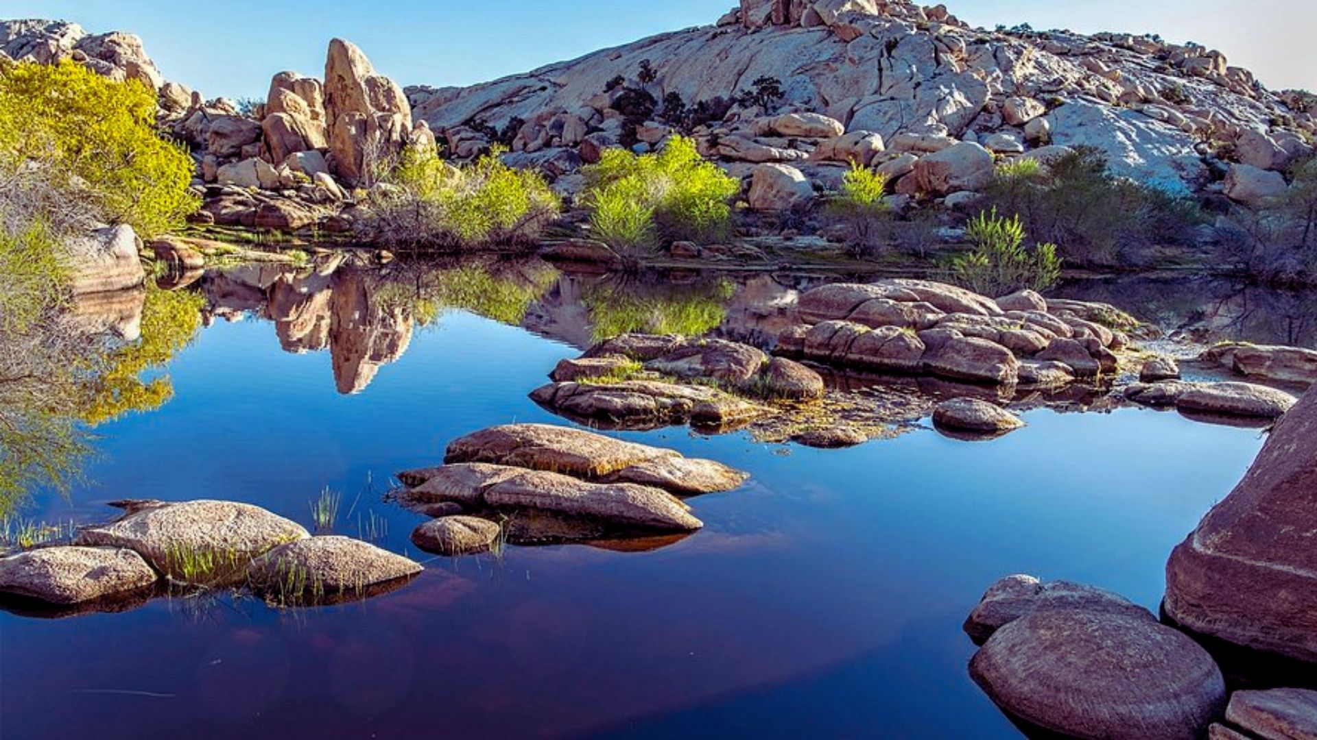 A serene lake nestled among rocky formations and desert trees, showcasing a tranquil natural landscape.