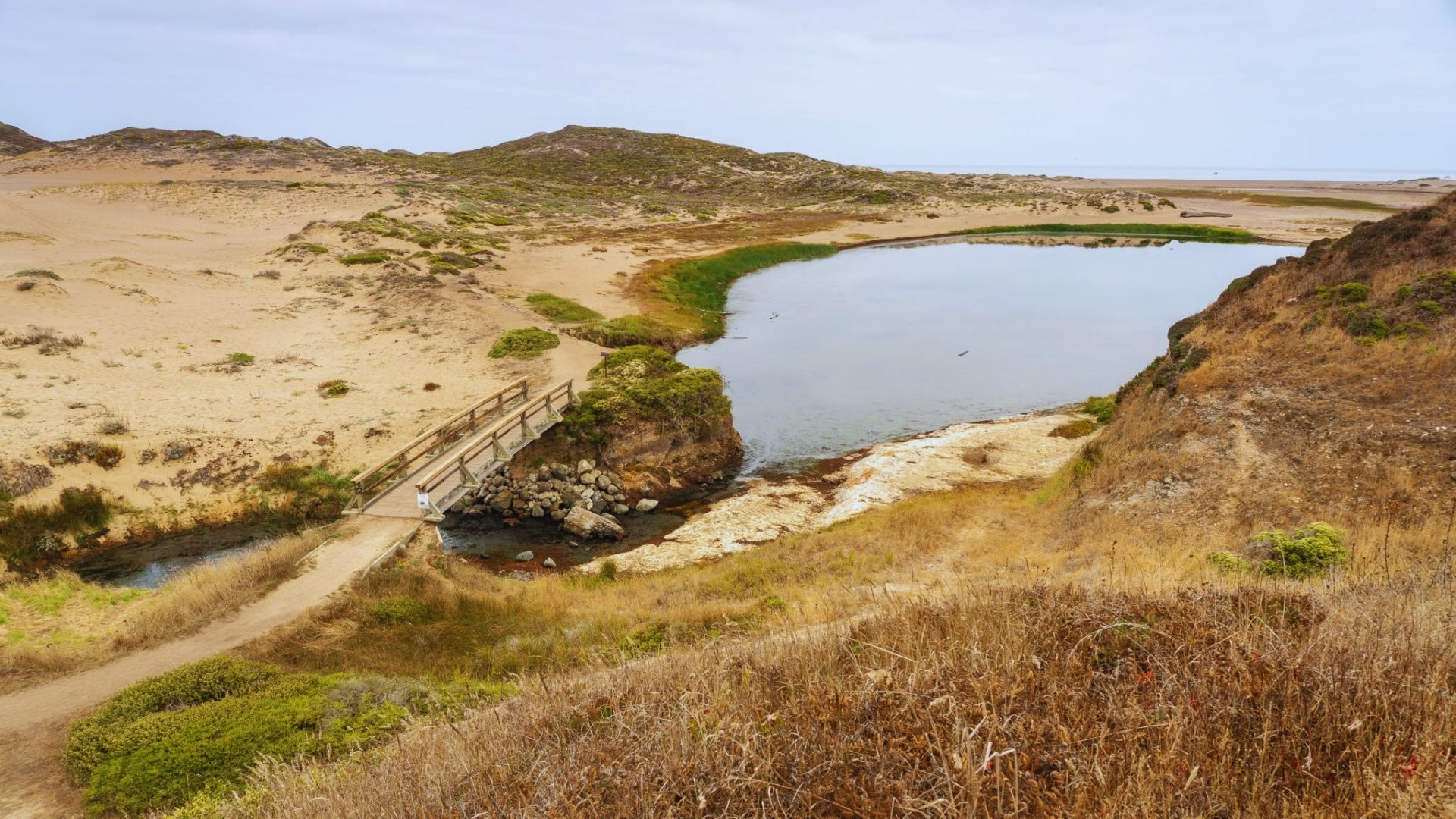 A winding path leads to a tranquil pond surrounded by arid desert landscape.