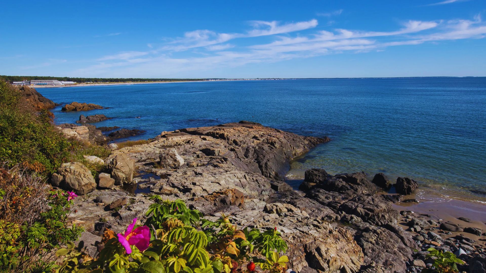 A scenic view of a rocky coastline with vibrant flowers and a bright blue sky above.