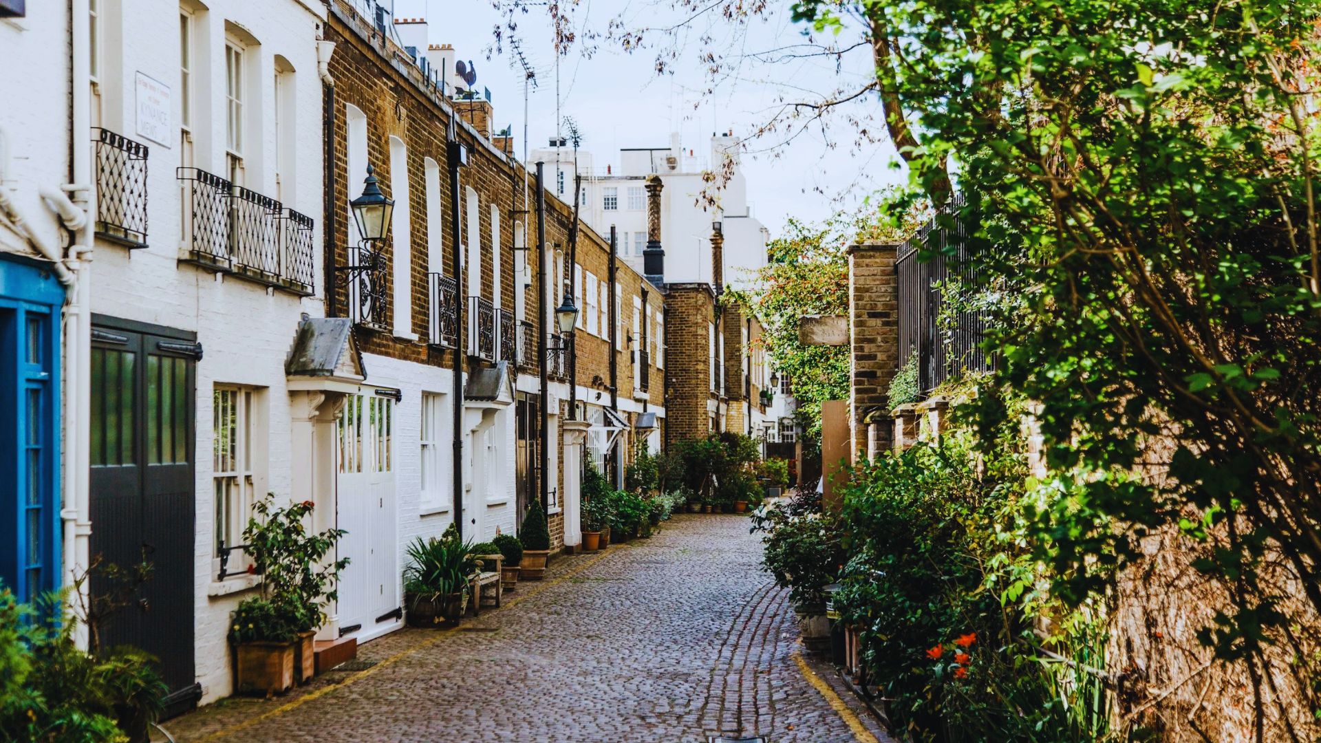 A narrow street lined with houses and trees, creating a quaint and inviting neighborhood atmosphere.
