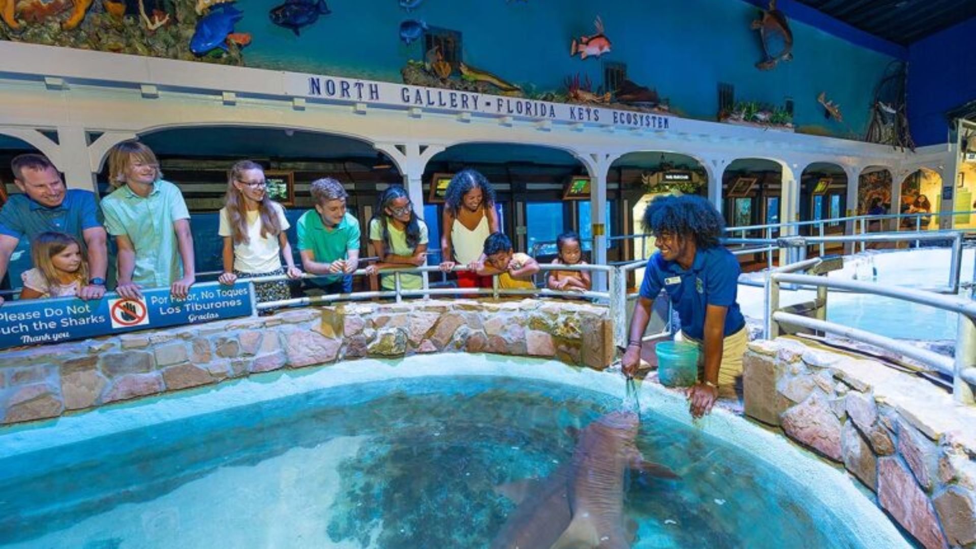 A group of people gazes at an aquarium featuring a large shark swimming inside.