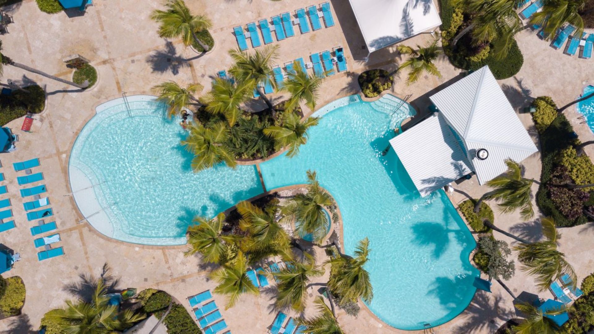 Aerial view showcasing a vibrant pool area adjacent to a sandy beach, surrounded by palm trees and sun loungers.