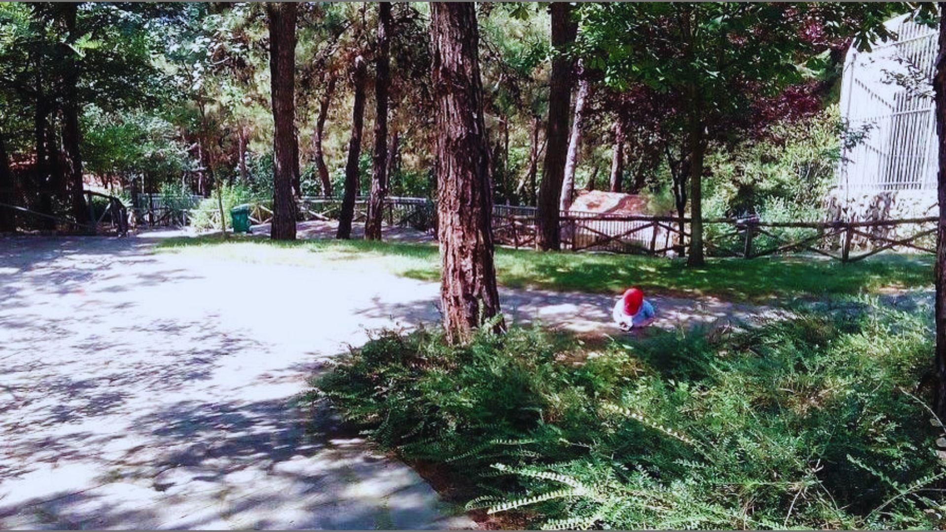 Spend Time at Thessaloniki Zoo