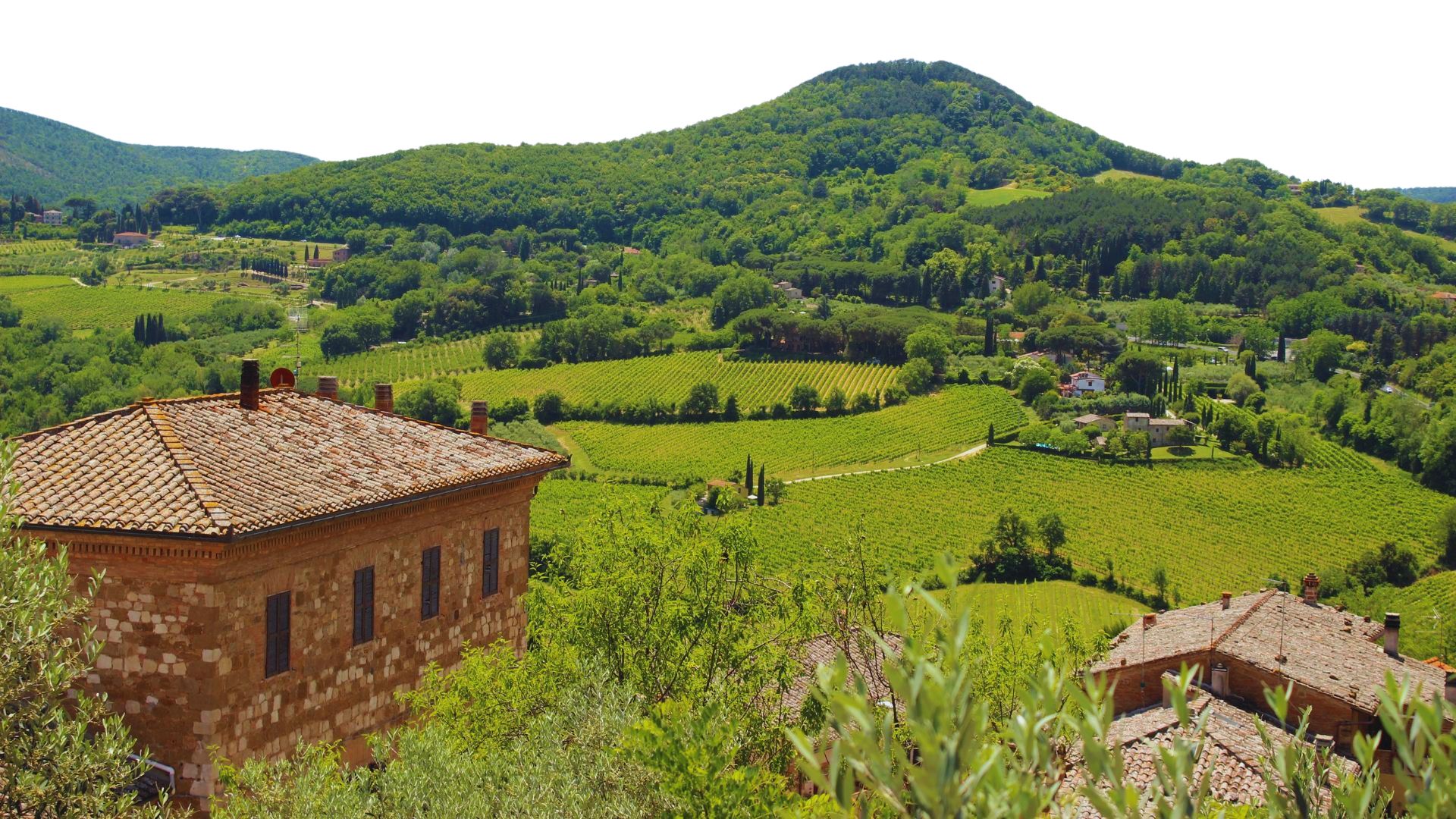 Montepulciano