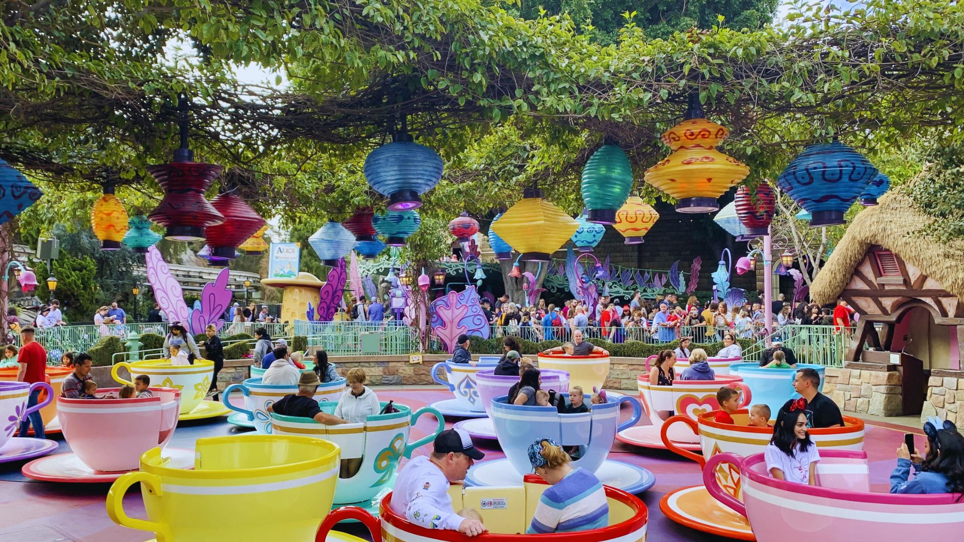 Why These Are the Best Rides