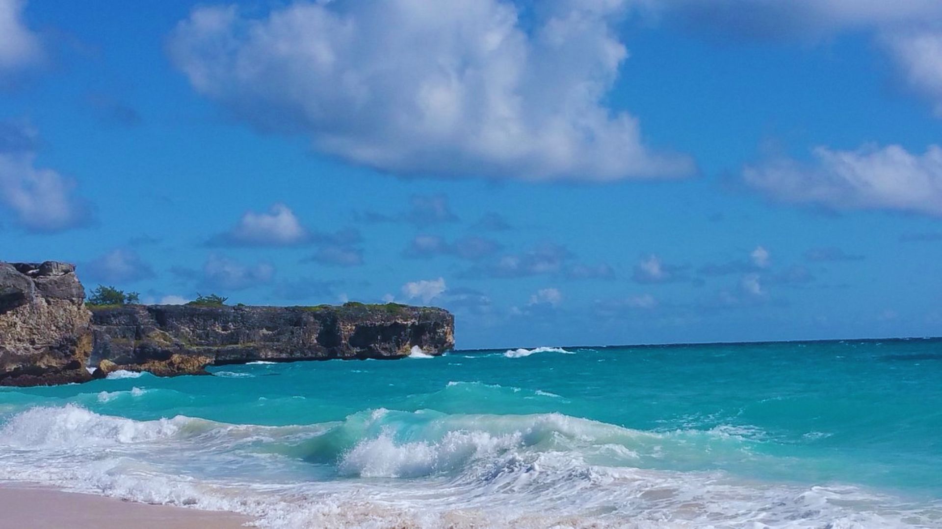 Bottom Bay