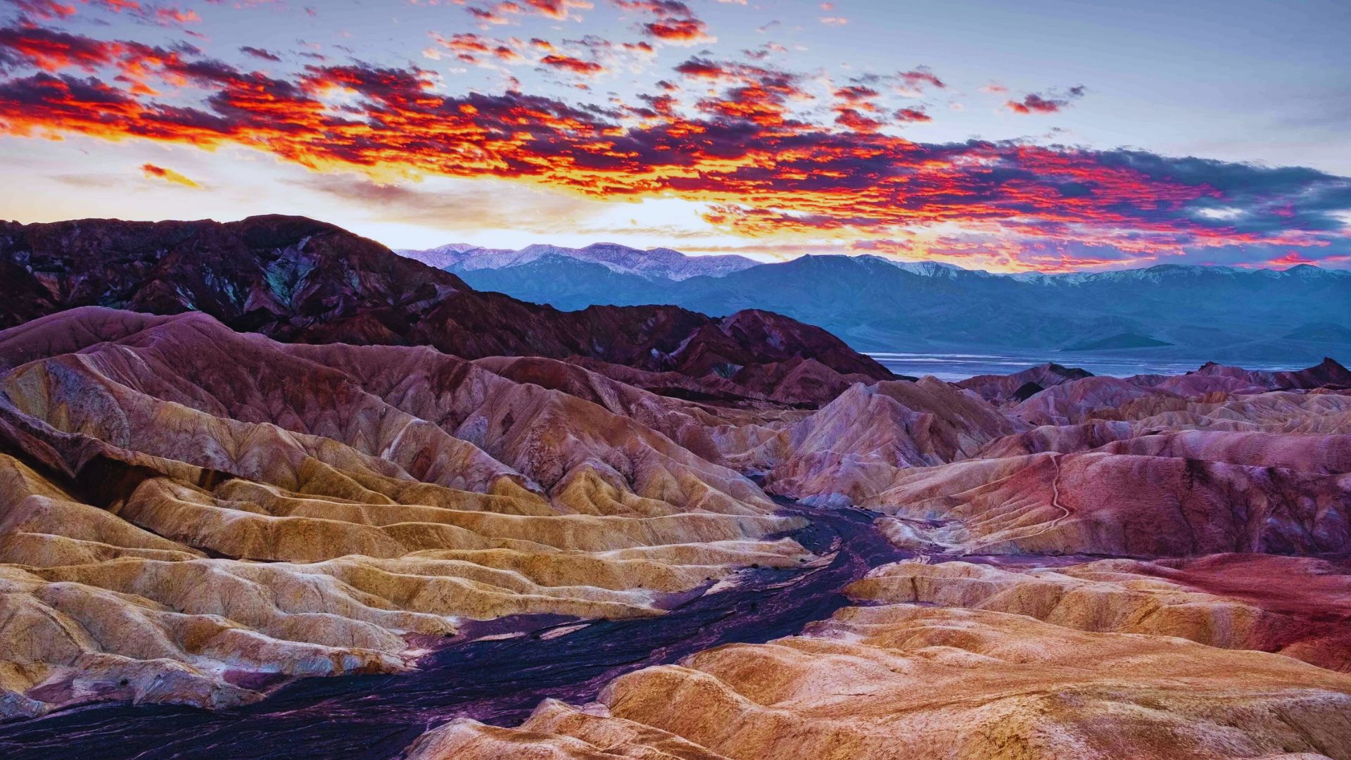 19. Experience Death Valley in One Day