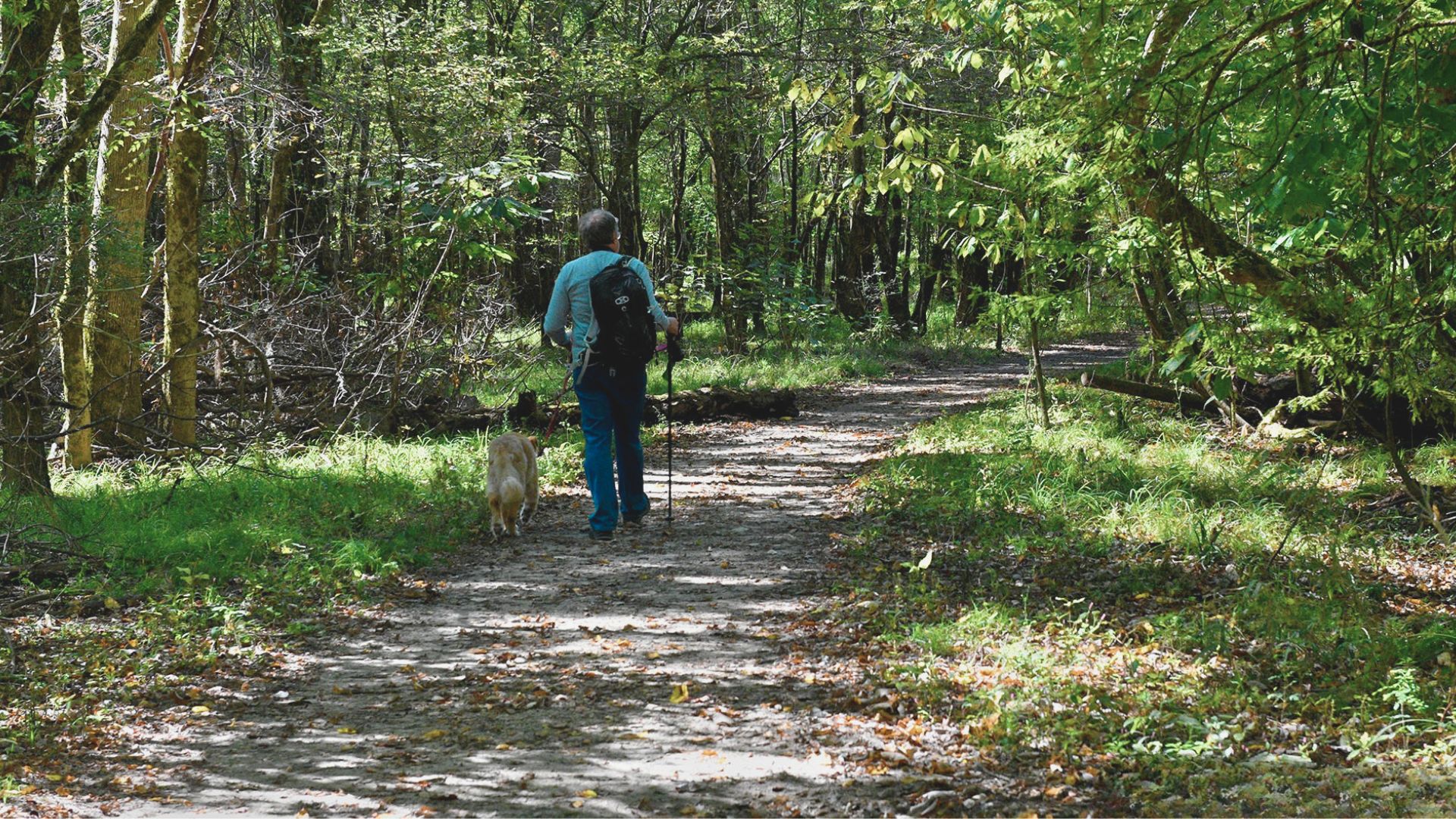 Sims Trail or Firefly Trail