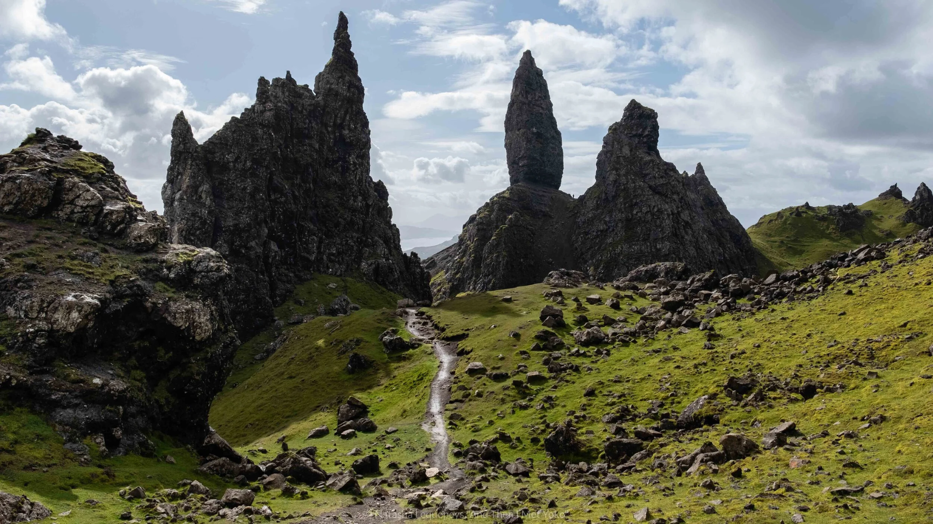 The Forest Section and Initial Climb