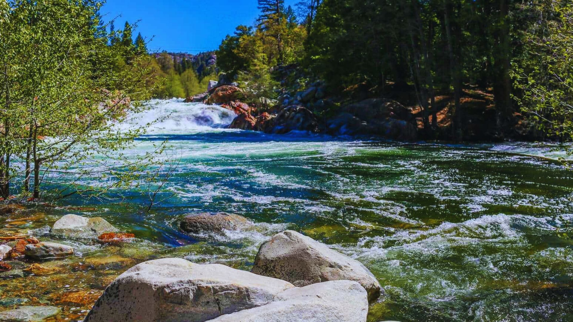 9. Swim or Relax by the Yuba River (Family-Friendly)