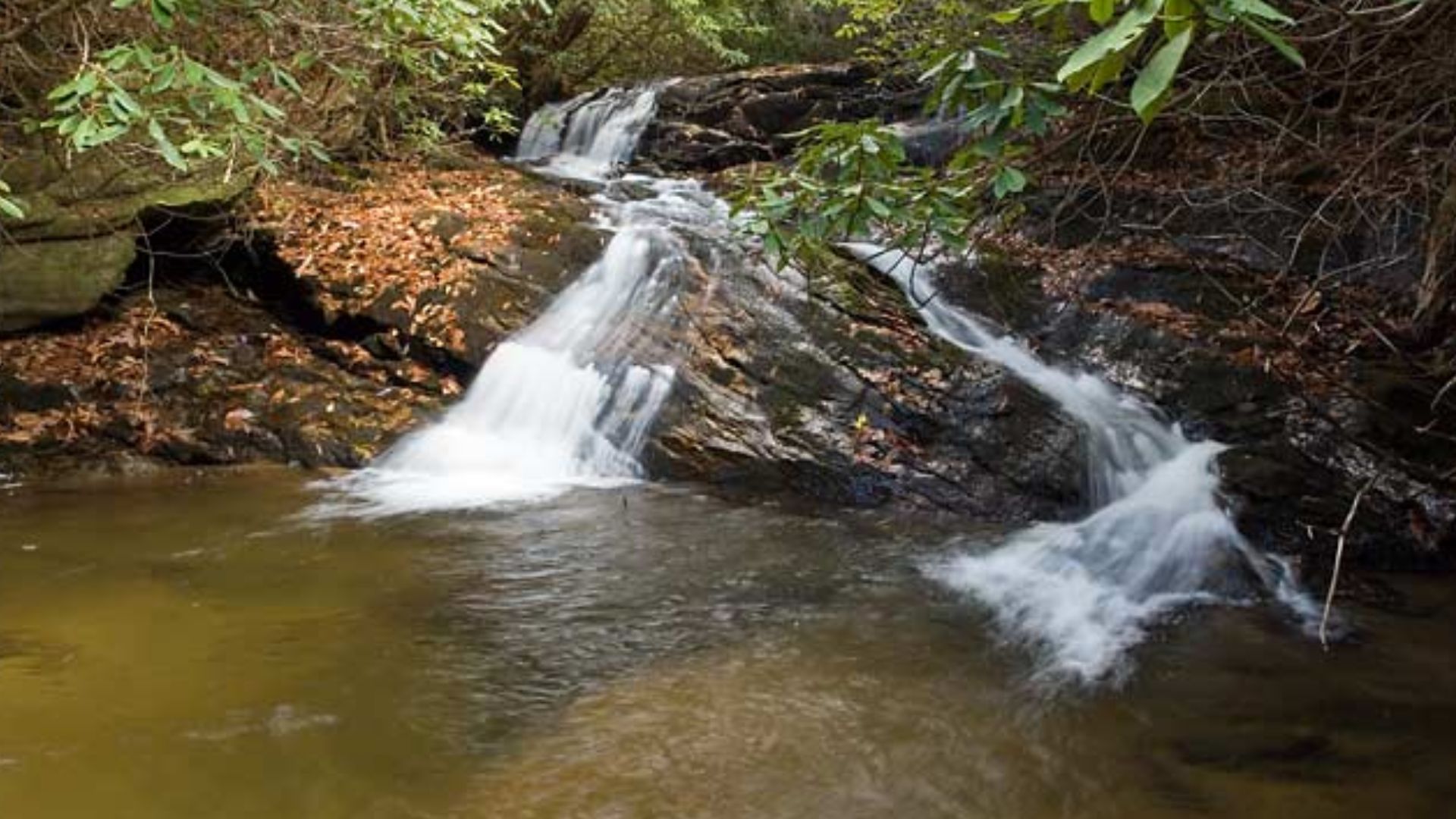 What to Expect on the Trail