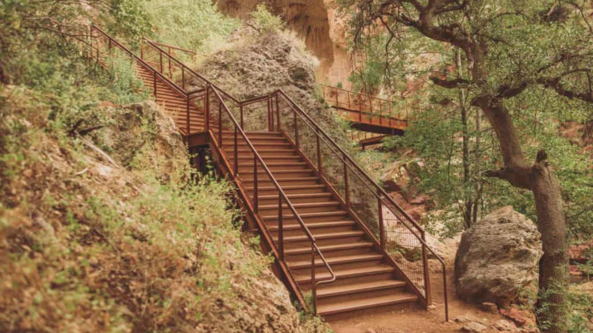 Stairs ascend towards a canyon, surrounded by trees and rocky terrain, inviting exploration of the natural landscape.