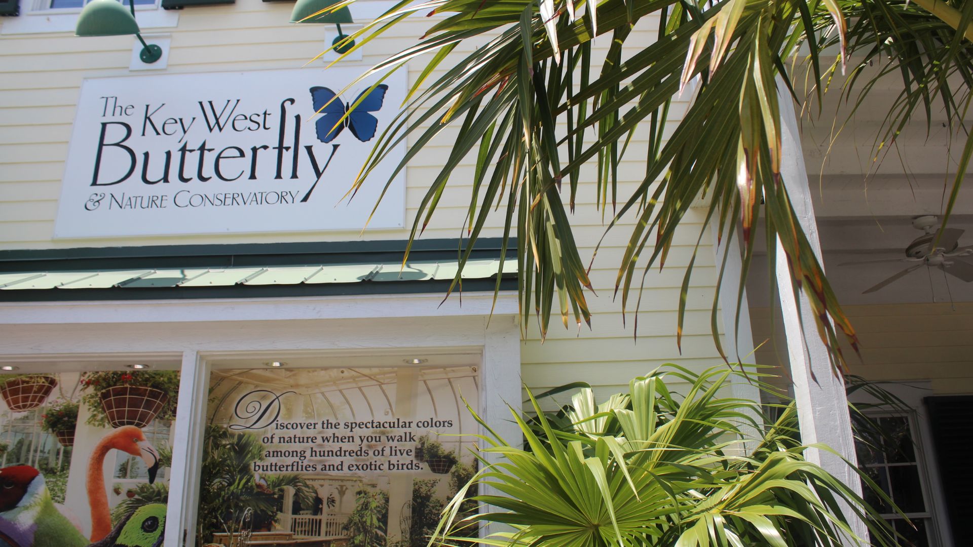 A sign on a building reads "the key west butterfly shop," indicating the location of a butterfly-themed retail store.